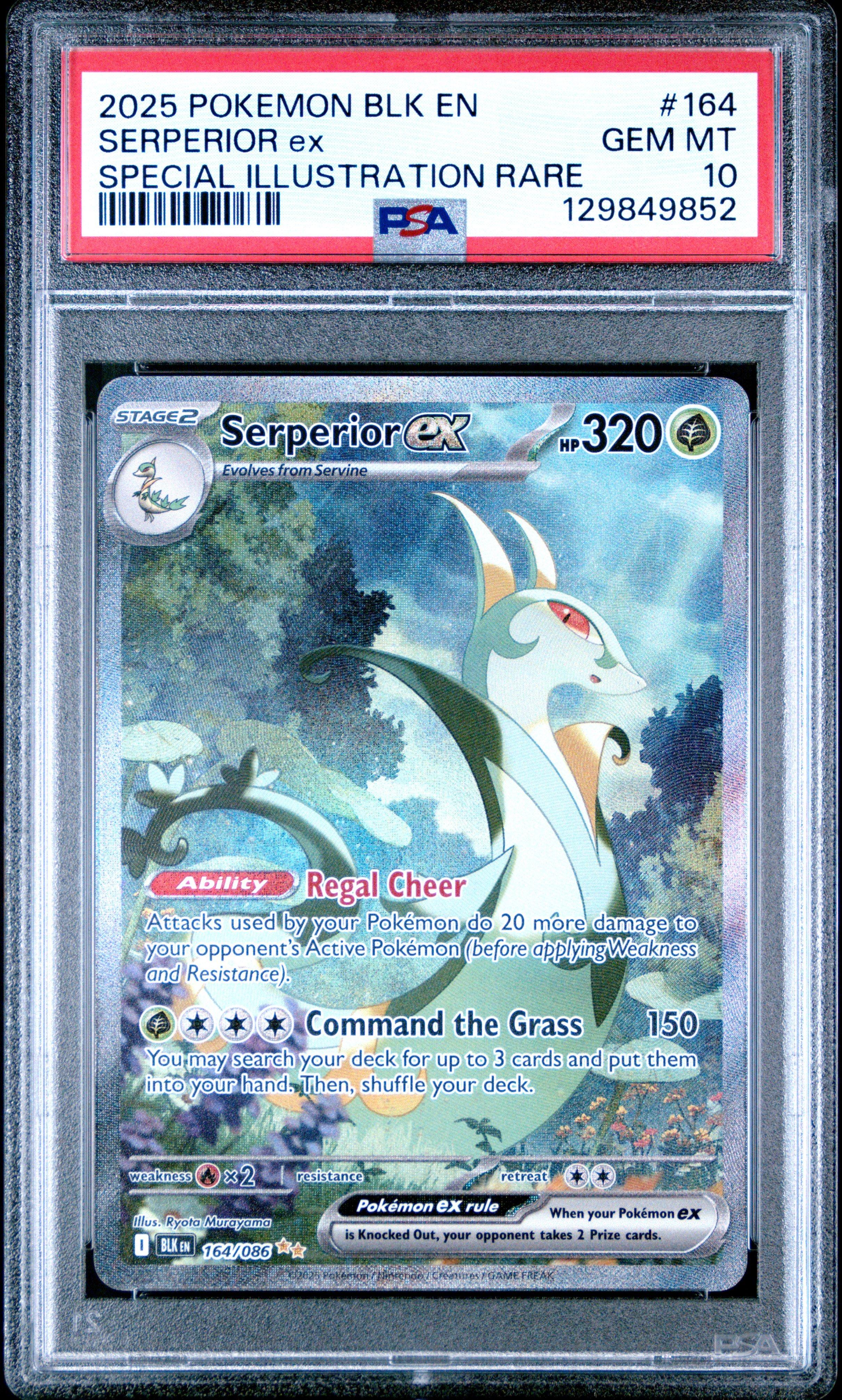 2025 Pokemon Blk En-black Bolt 164 Serperior Ex Special