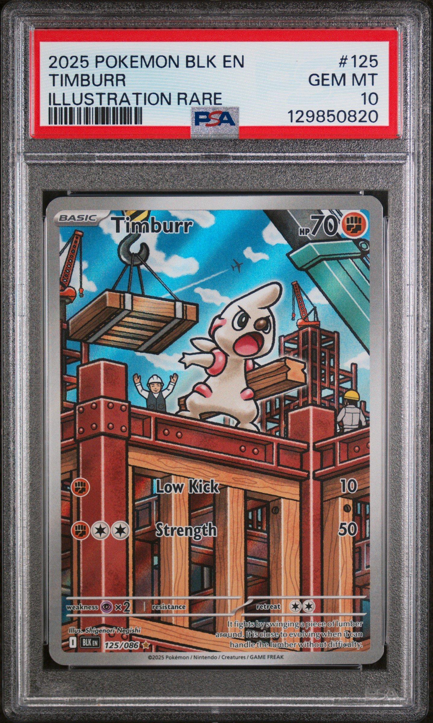 2025 Pokemon Blk En-black Bolt 125 Timburr Illustration Rare PSA