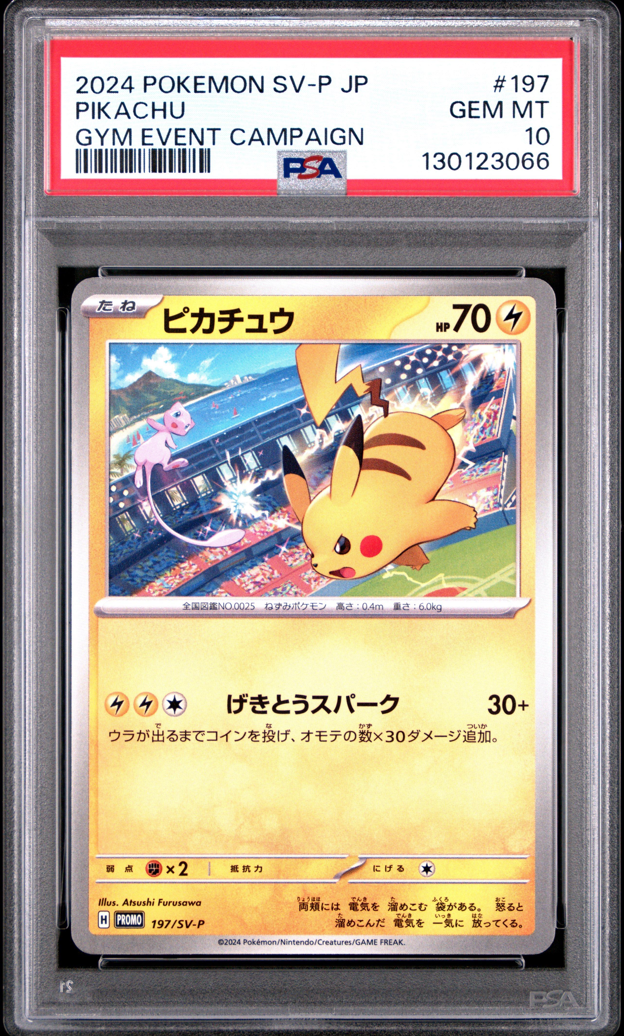 2024 Pokemon Japanese Sv-p Promo 197 Pikachu Gym Event Campaign