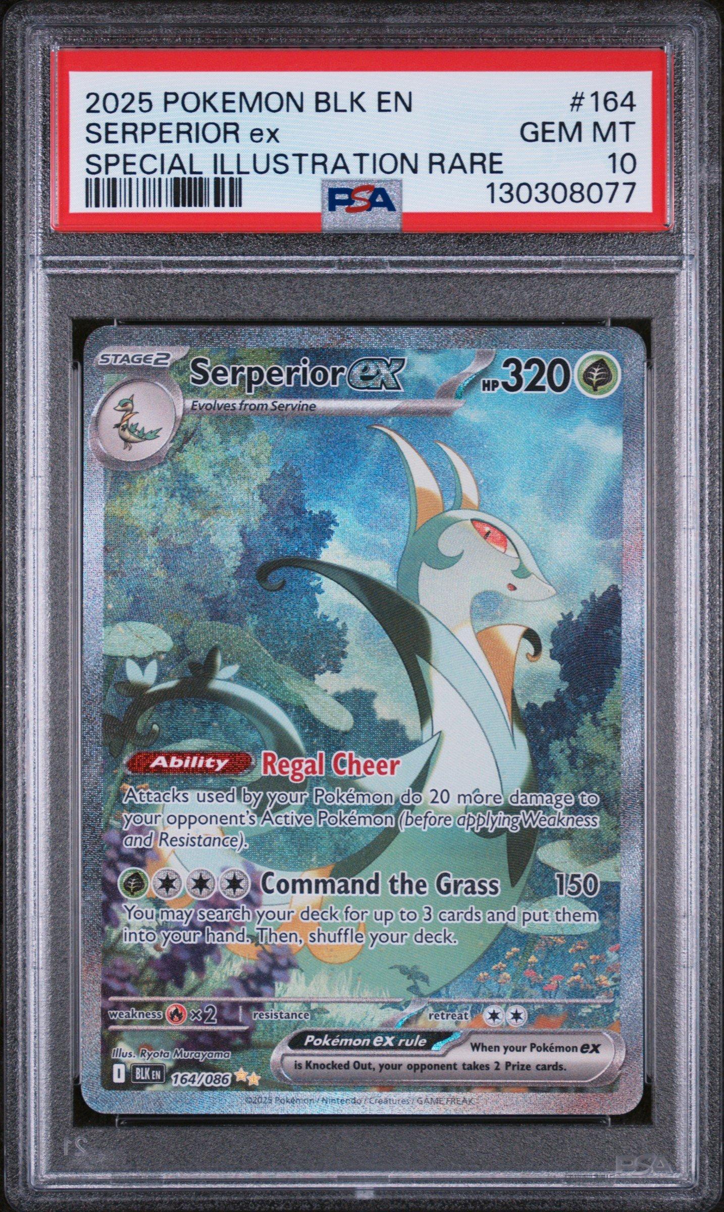 scarlet and violet base set booster box Pokmon TCG: Scarlet & Violet Base Set Products  Holo Horse Games LLC