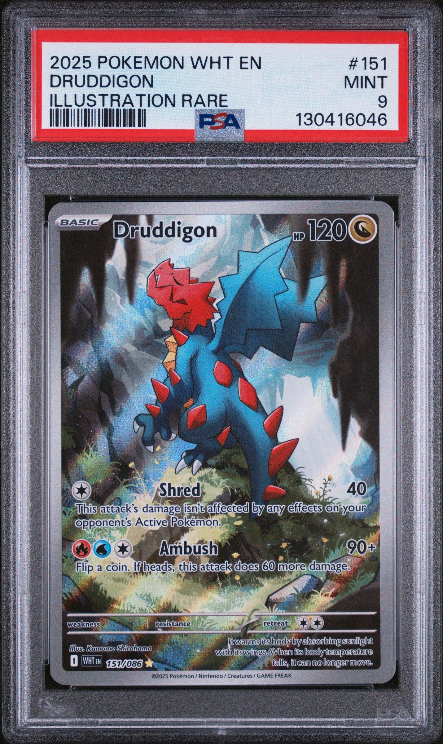 pokemon druddigon card 2025 Pokemon Wht En-white Flare 151 Druddigon Illustration Rare PSA 9  Graded Card