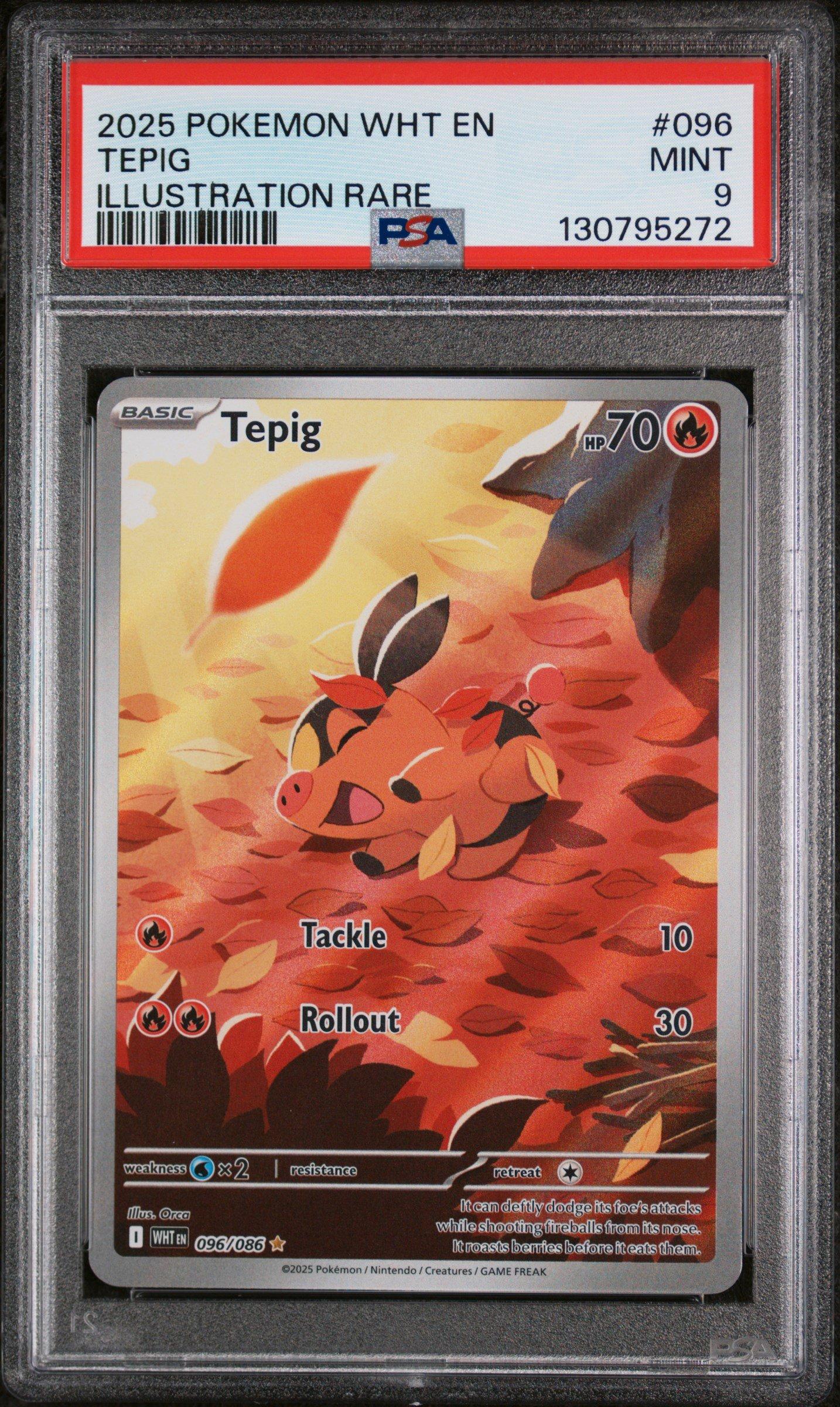 2025 Pokemon Wht En-white Flare 096 Tepig Illustration Rare PSA 9