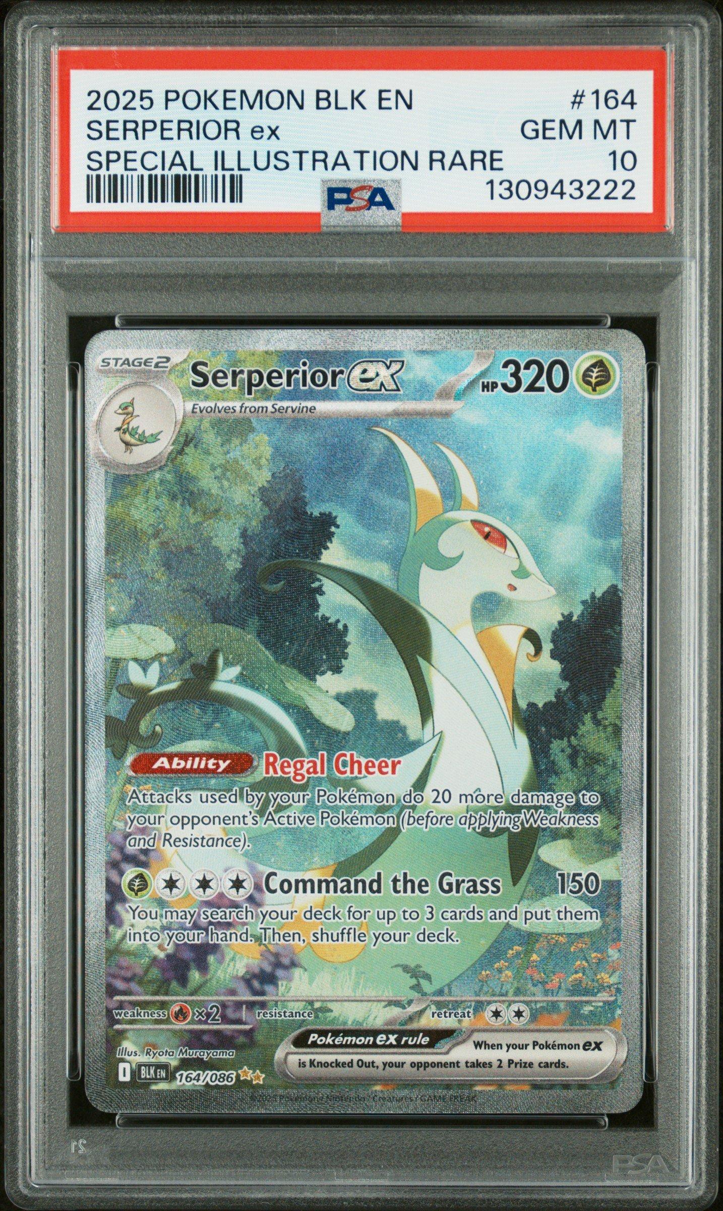 superior pokemon card 2025 Blk En-black Bolt 164 Serperior Ex Special Illustration Rare PSA 10 Graded Colorless Rule Serperior V (Full Art) 170