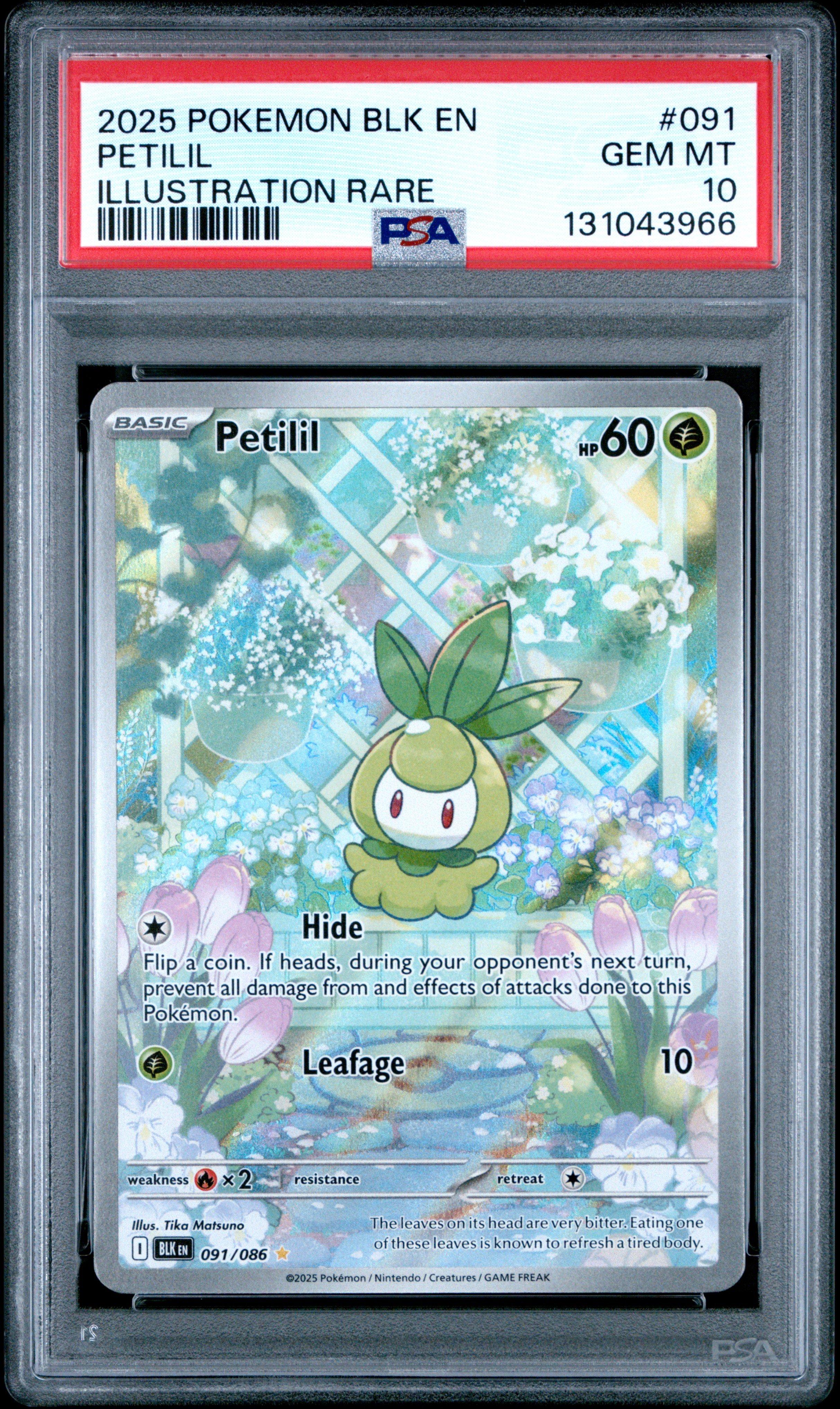 2025 Pokemon Blk En-black Bolt 091 Petilil Illustration Rare PSA 10