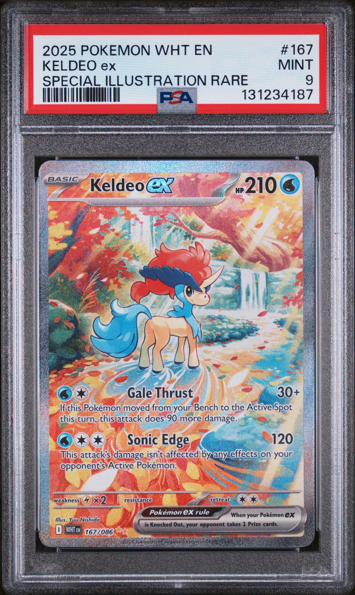 ケルディオ スペシャルアートレア PSAグレード 2025 Pokemon Wht En-white Flare 167 Keldeo Ex Special Illustration