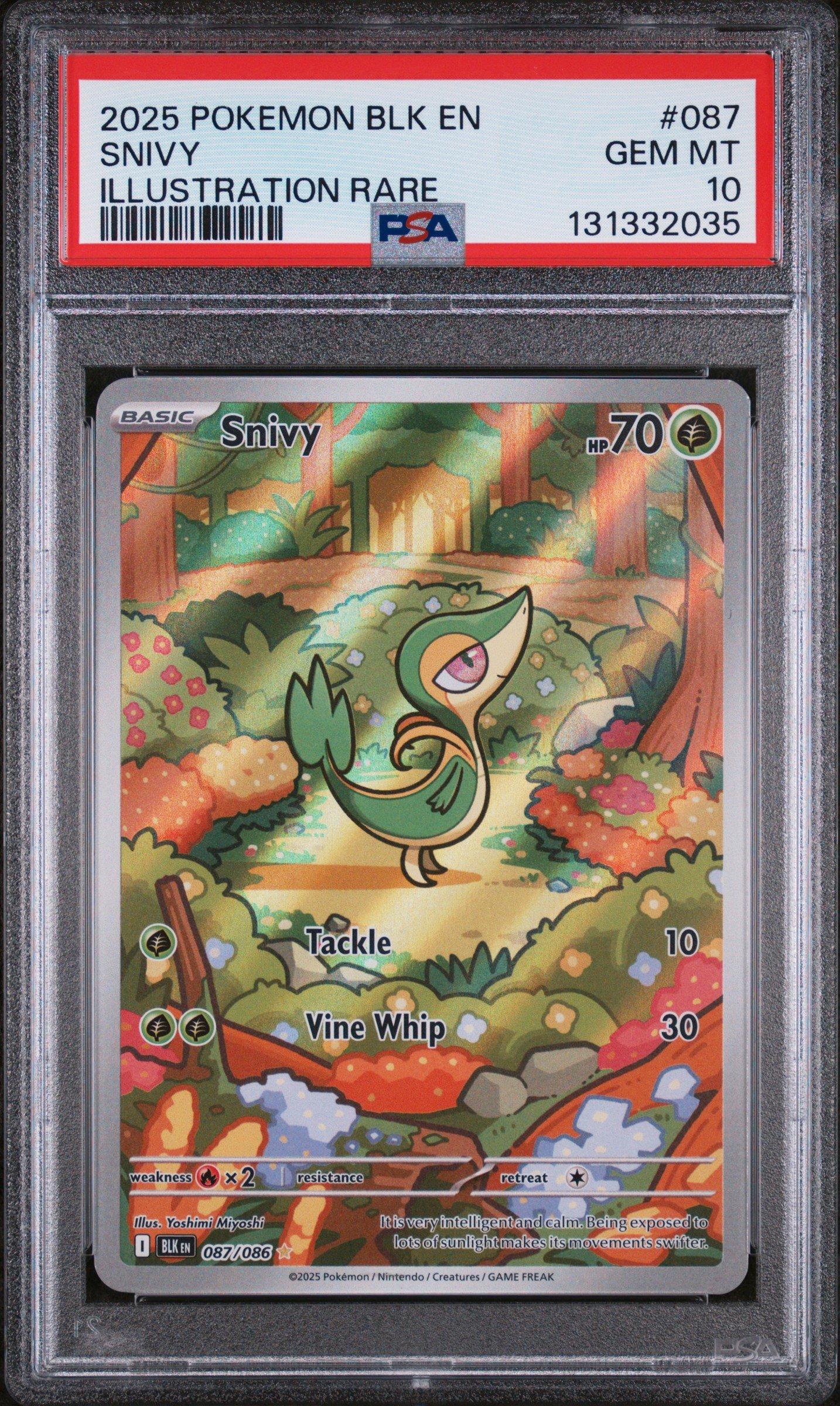 2025 Pokemon Blk En-black Bolt 087 Snivy Illustration Rare PSA 10