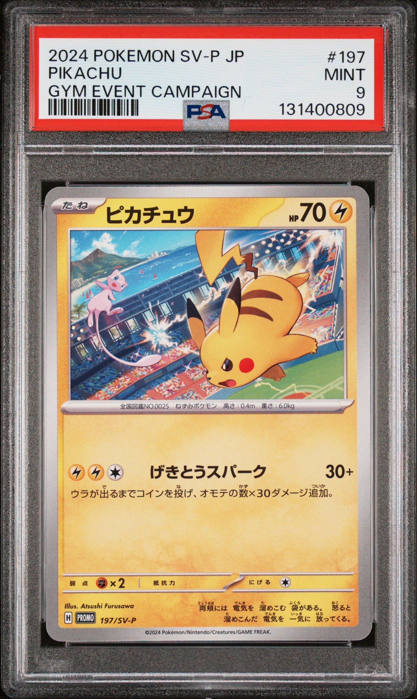 Pikachu 197/SV-P Promo 8枚セット Japanese 2024 Pokemon Japanese Sv-p Promo 197 Pikachu Gym Event Campaign