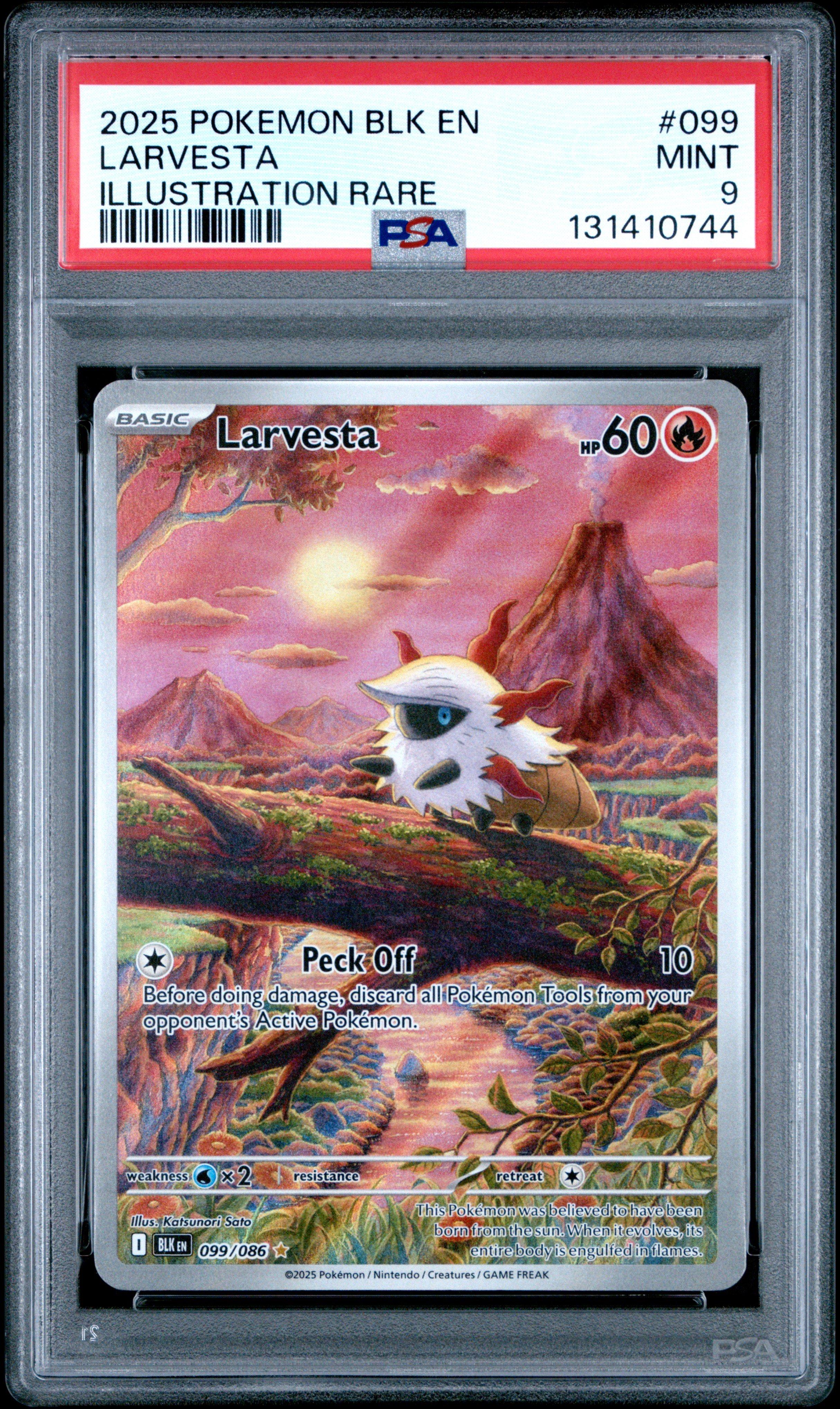 2025 Pokemon Blk En-black Bolt 099 Larvesta Illustration Rare PSA