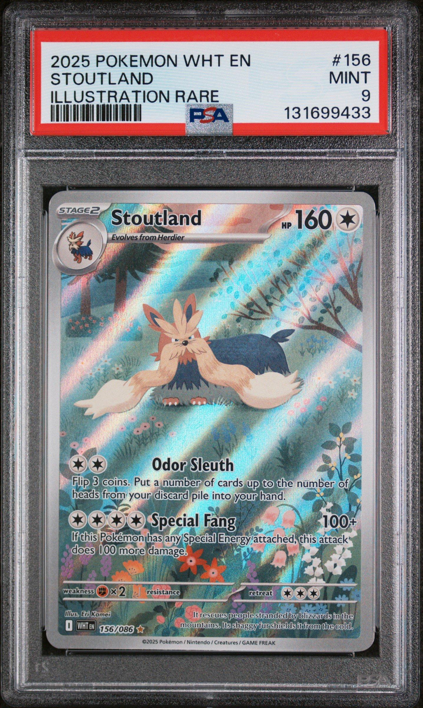 white flare rare cards Pokemon Trading Card Game White Flare Single Card Ultra Rare Hydreigon ex  161