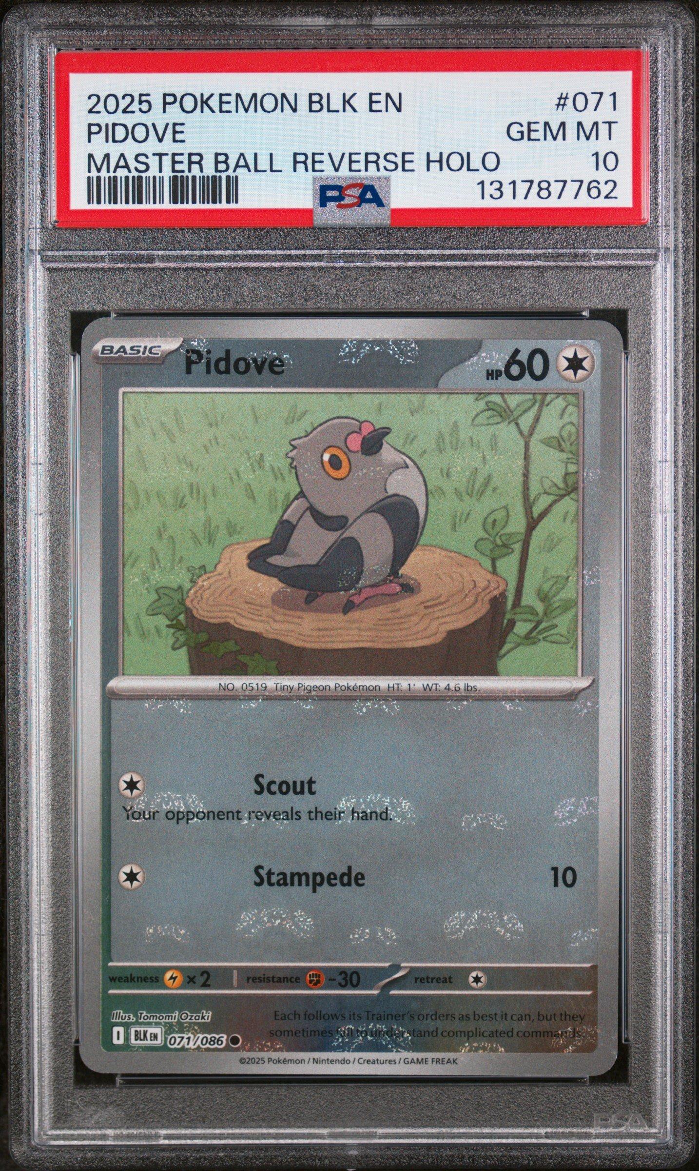 2025 Pokemon Blk En-black Bolt 071 Pidove Master Ball Reverse Holo