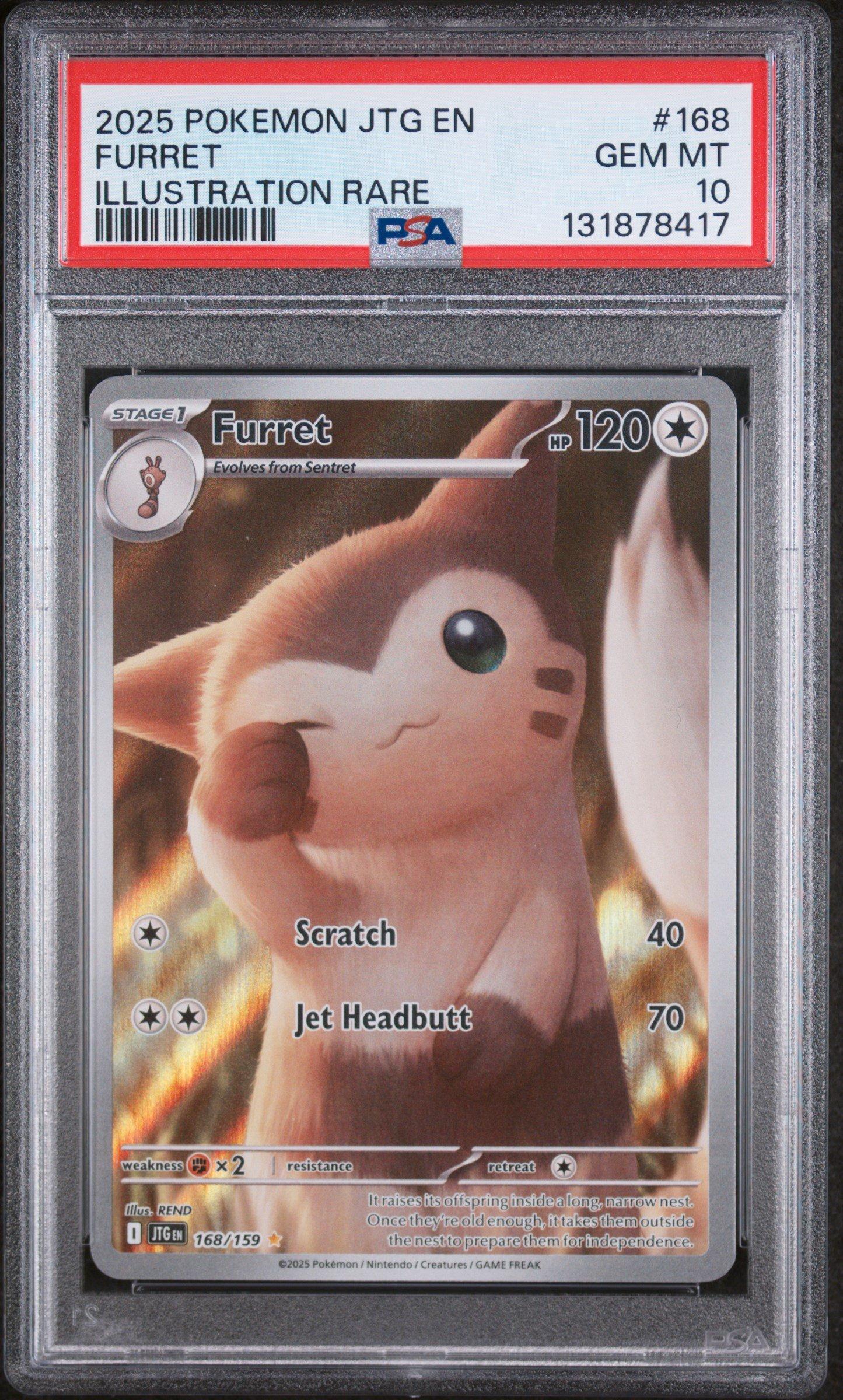 2025 Pokemon Jtg En-journey Together 168 Furret Illustration Rare