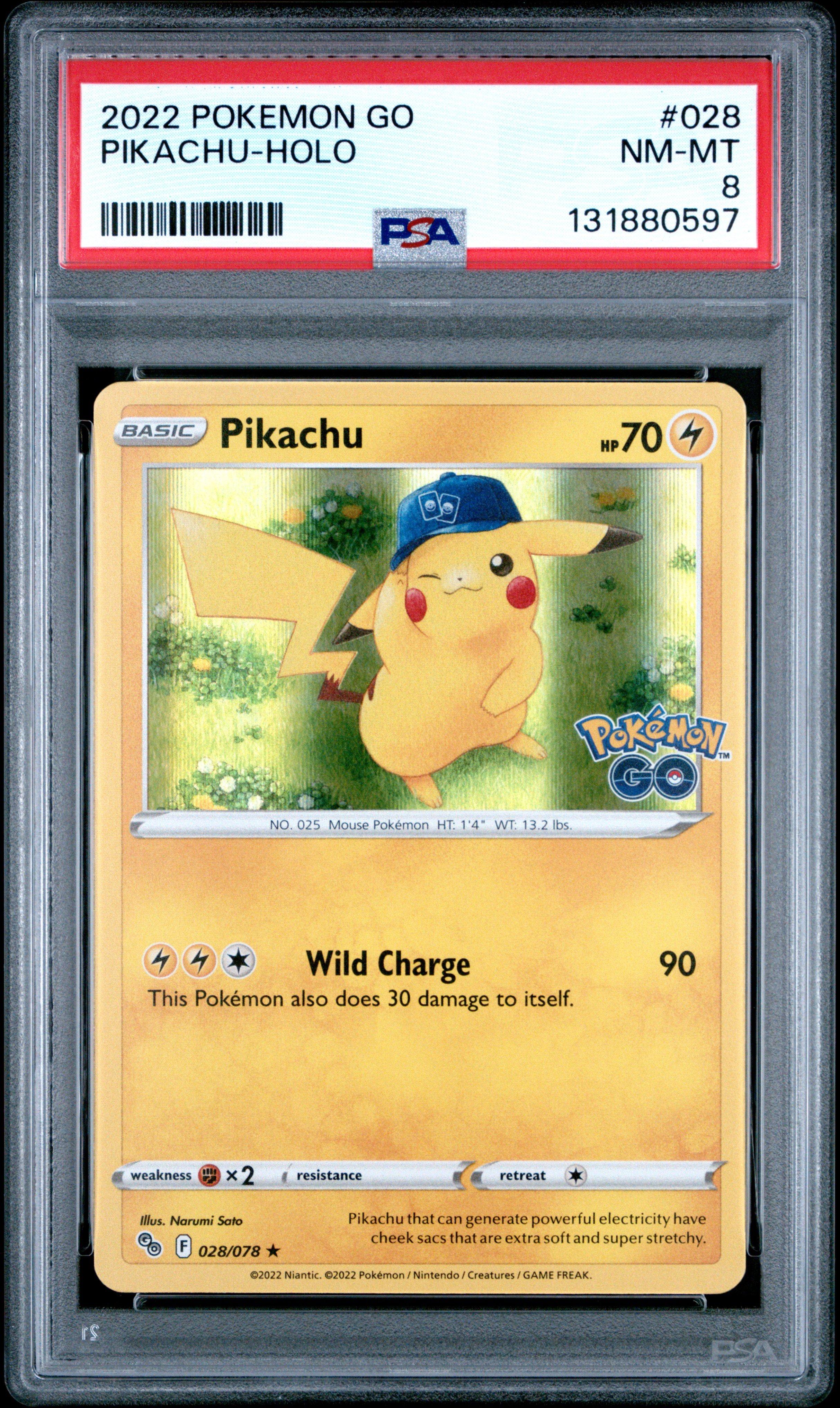 graded card safe PREZA Graded Card Case (2 row main image 1