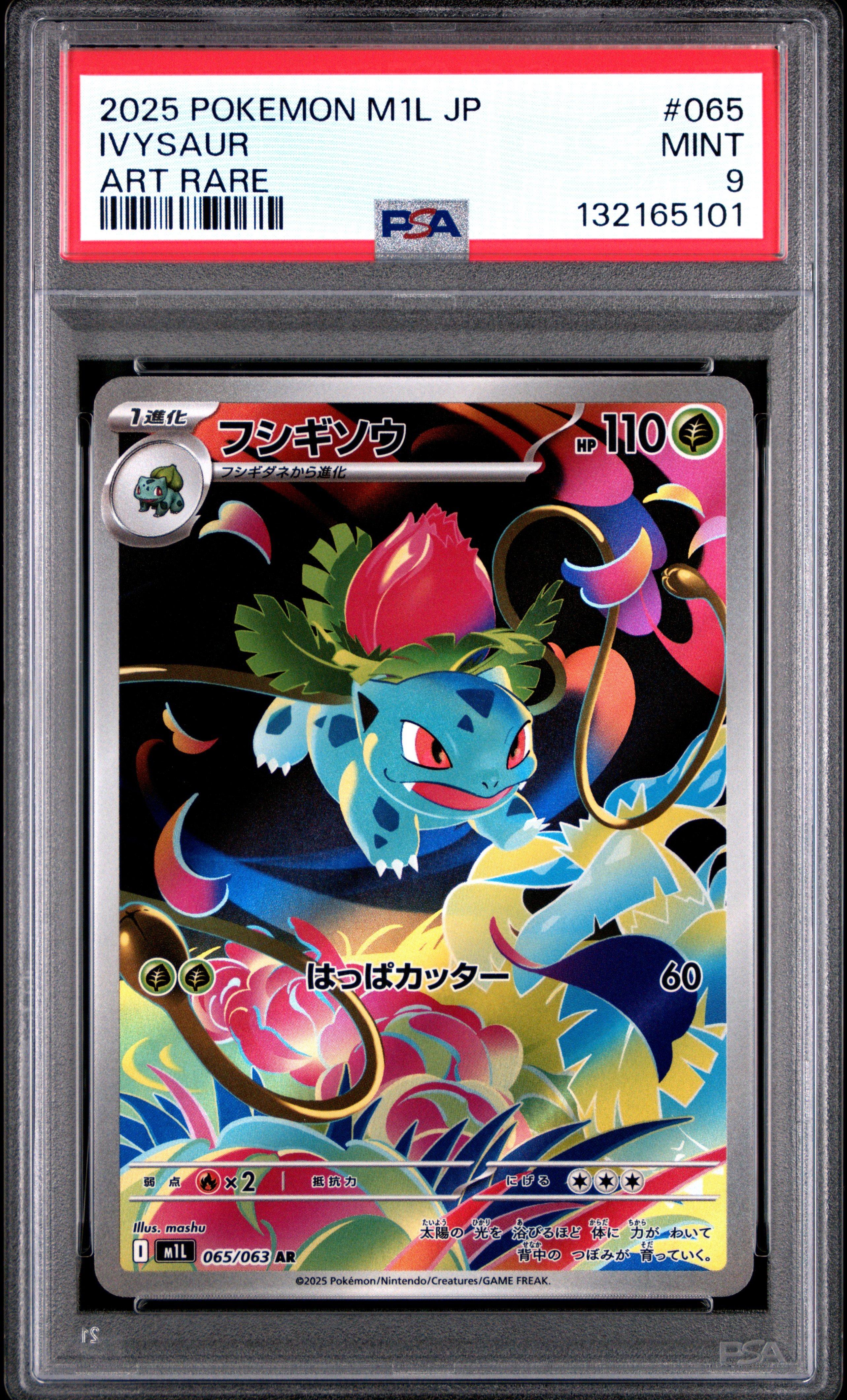 ポケモンカード PSA 2025 Pokemon Japanese M1l-mega Brave 065 Ivysaur Art Rare PSA 9