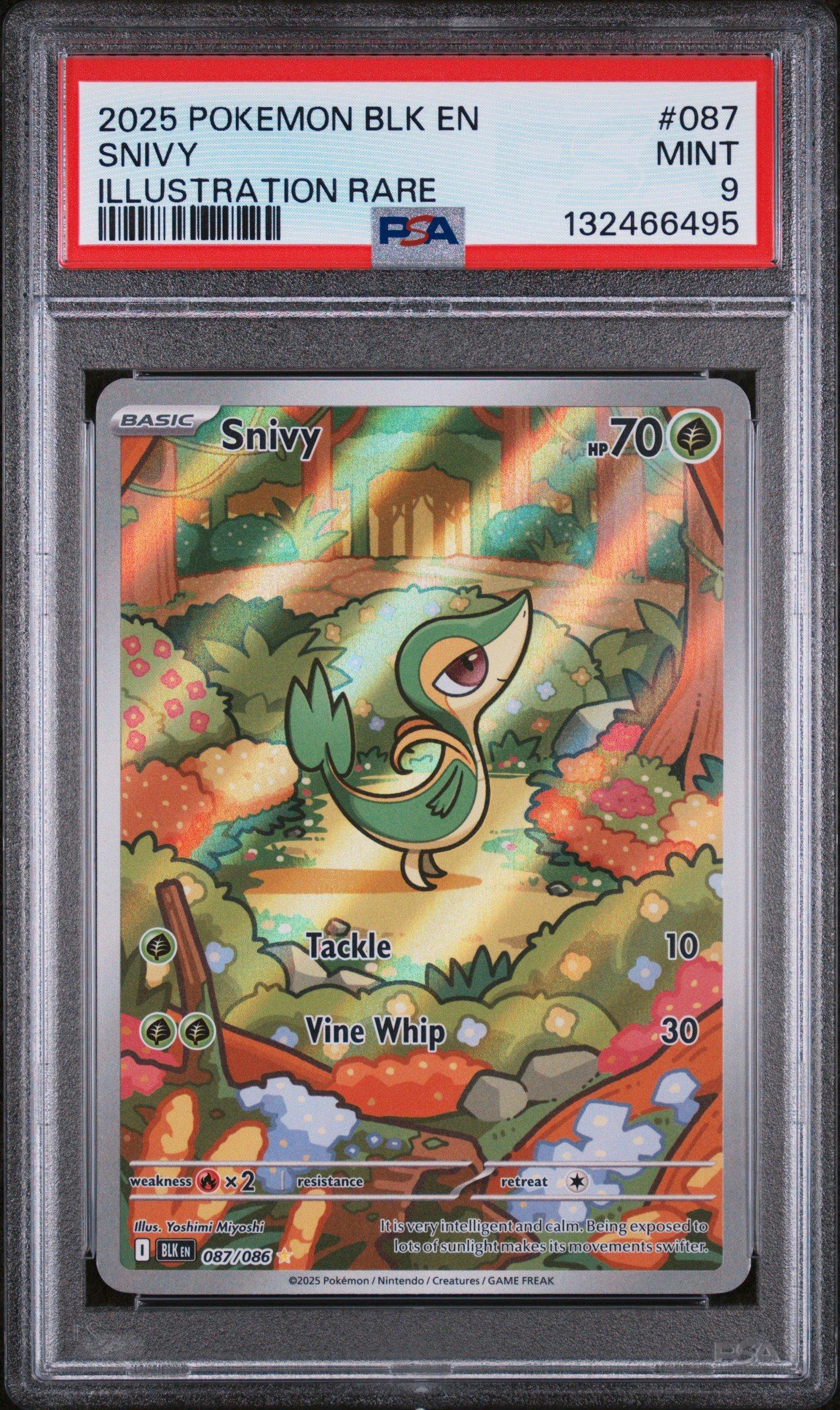2025 Pokemon Blk En-black Bolt 087 Snivy Illustration Rare PSA 9