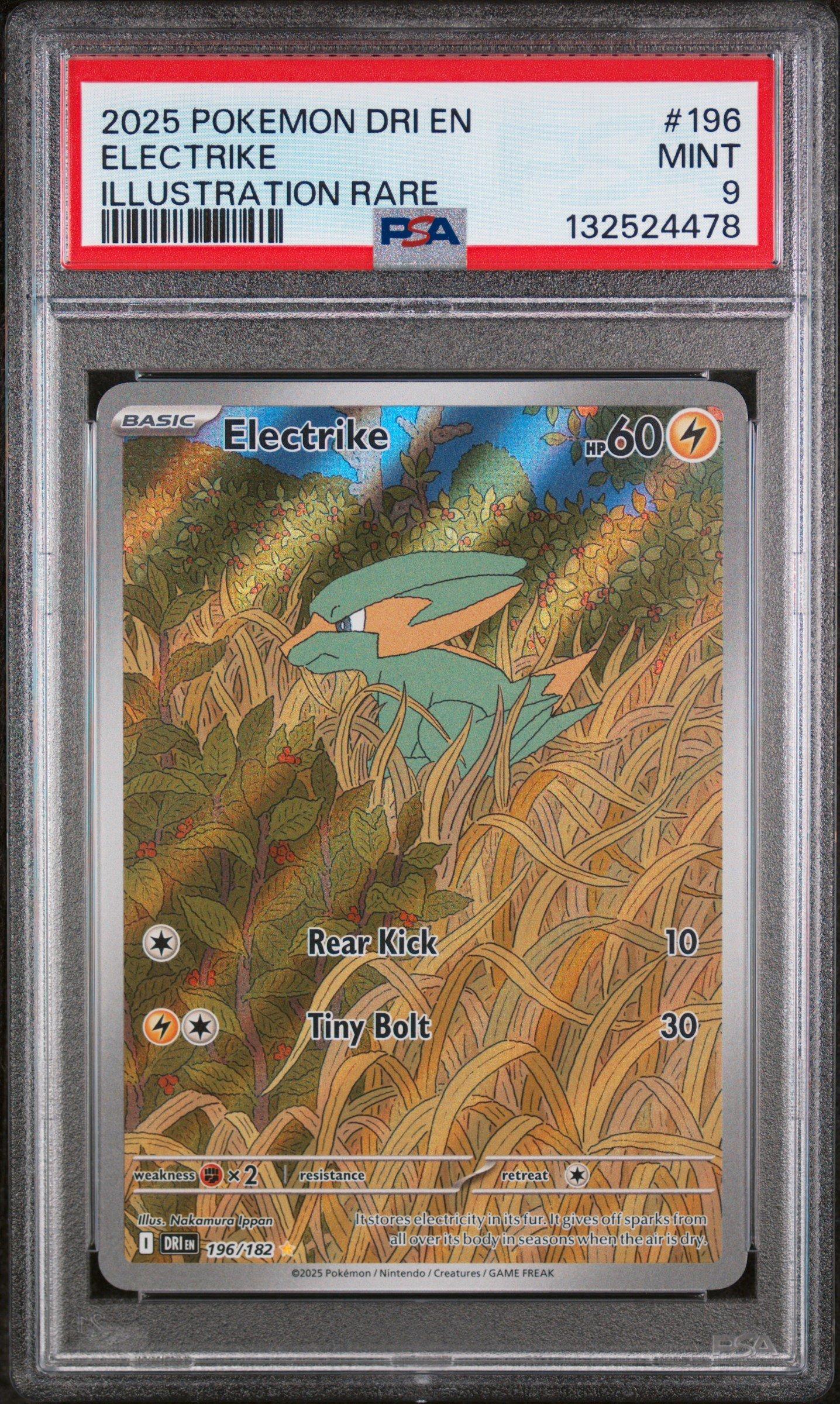 venusaur pokemon card value PSA 8 NM - MT