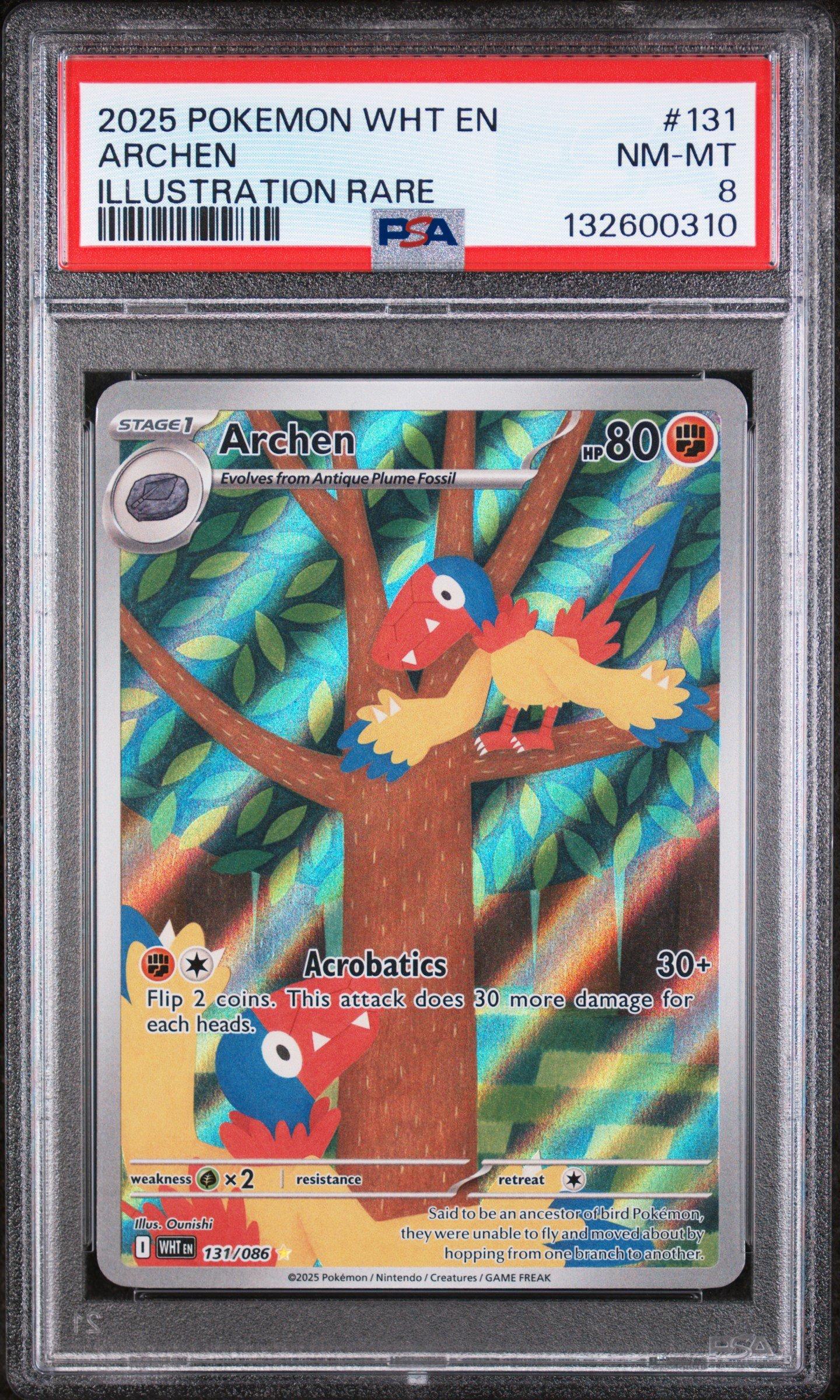pokemon card holder box A Wide Range of Pokmon Card Storage Options - BCW Supplies