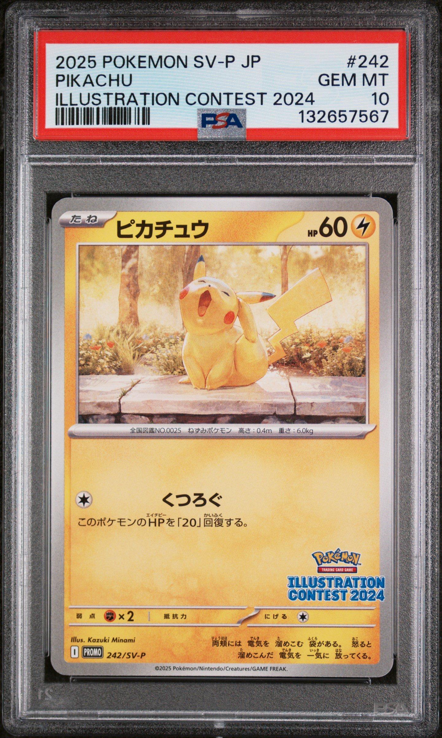 2025 Pokemon Japanese Sv-p Promo 242 Pikachu Illustration Contest