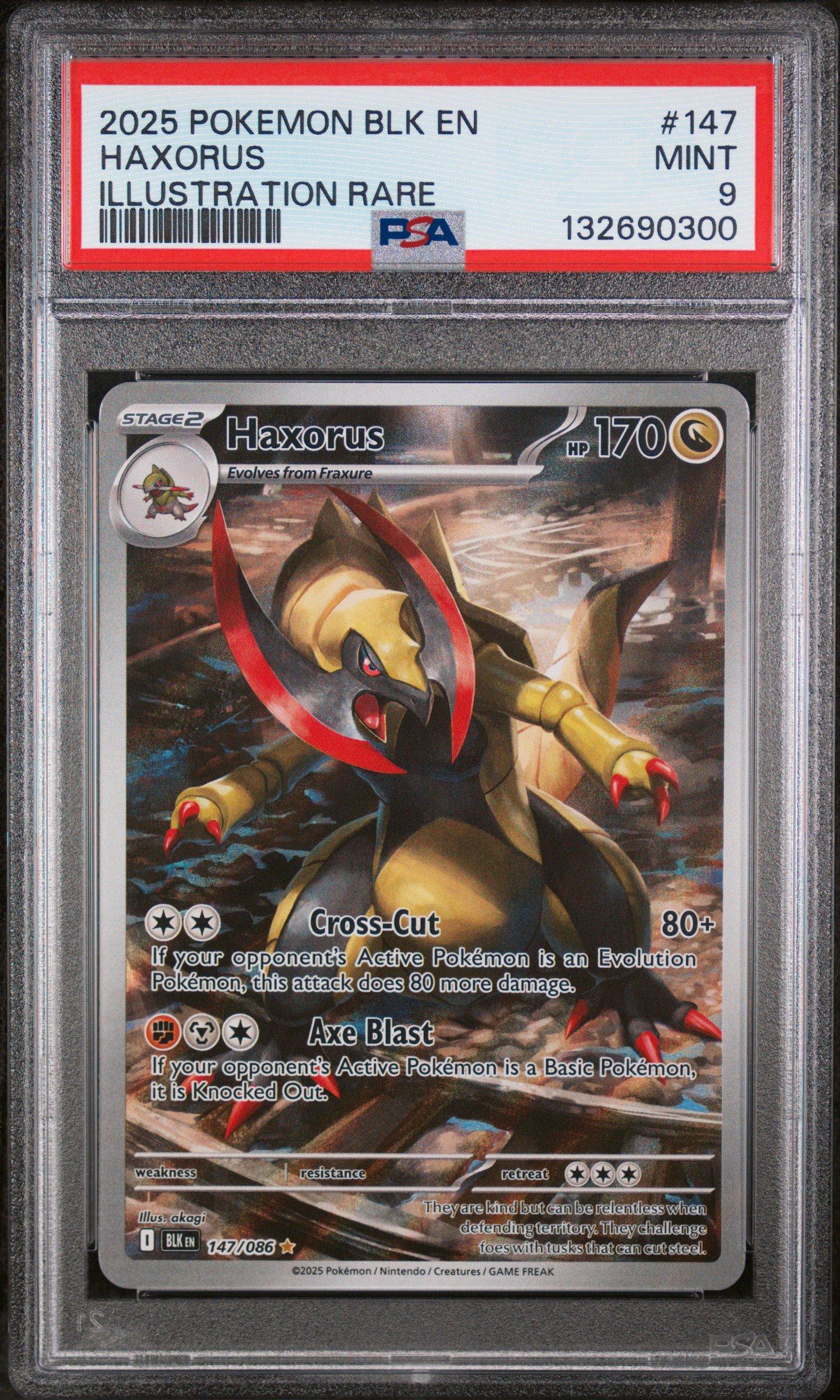 ポケモンカード　PSA9 2025 Pokemon Blk En-black Bolt 147 Haxorus Illustration Rare PSA 9