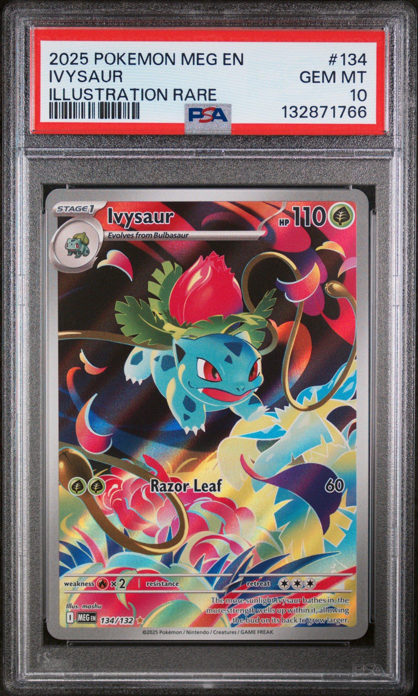 ホリデーカード　psa10 2025 Pokemon Meg En-mega Evolution 134 Ivysaur Illustration Rare