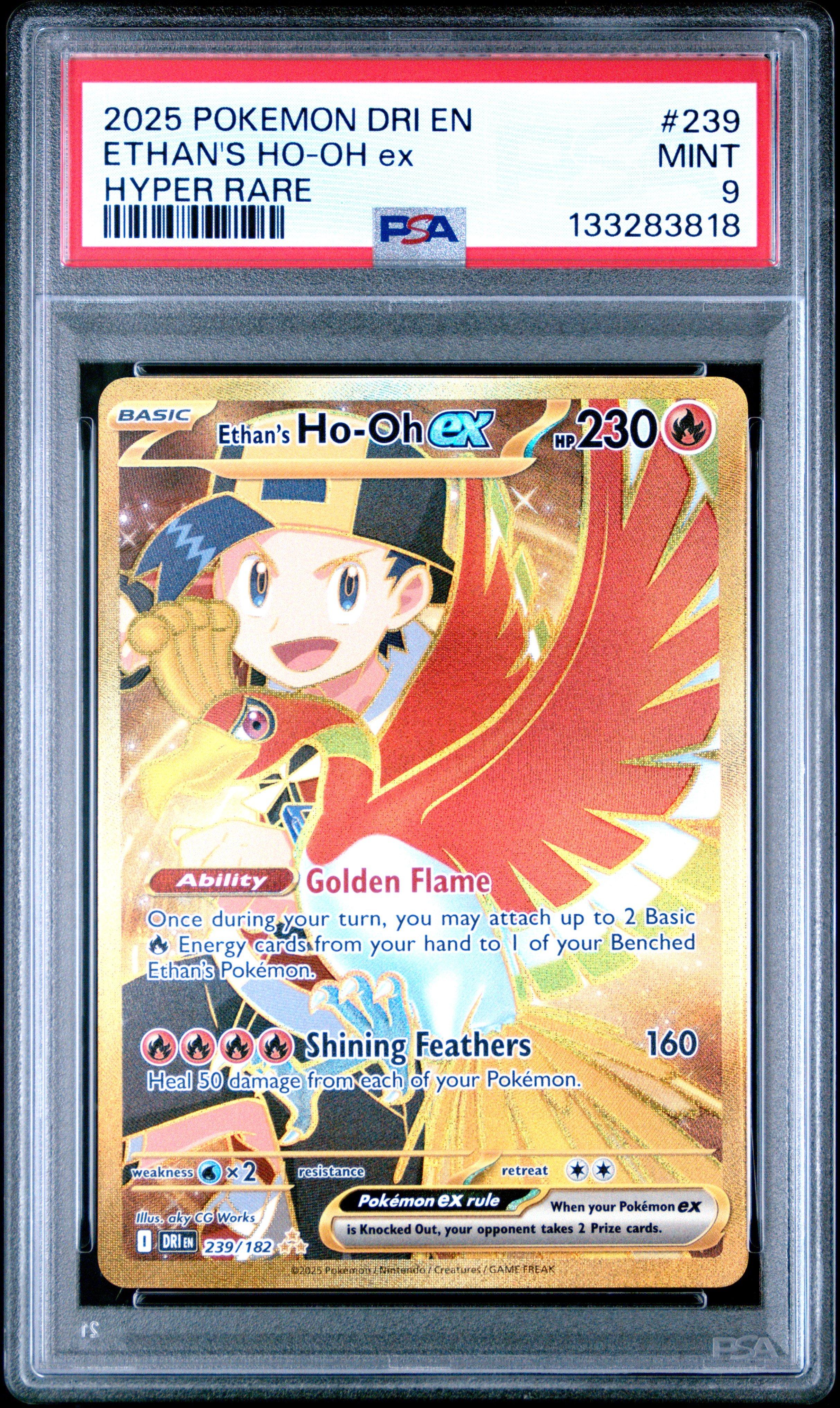 sleeves for pokemon cards Ultra PRO: Pokemon Deck Sleeves