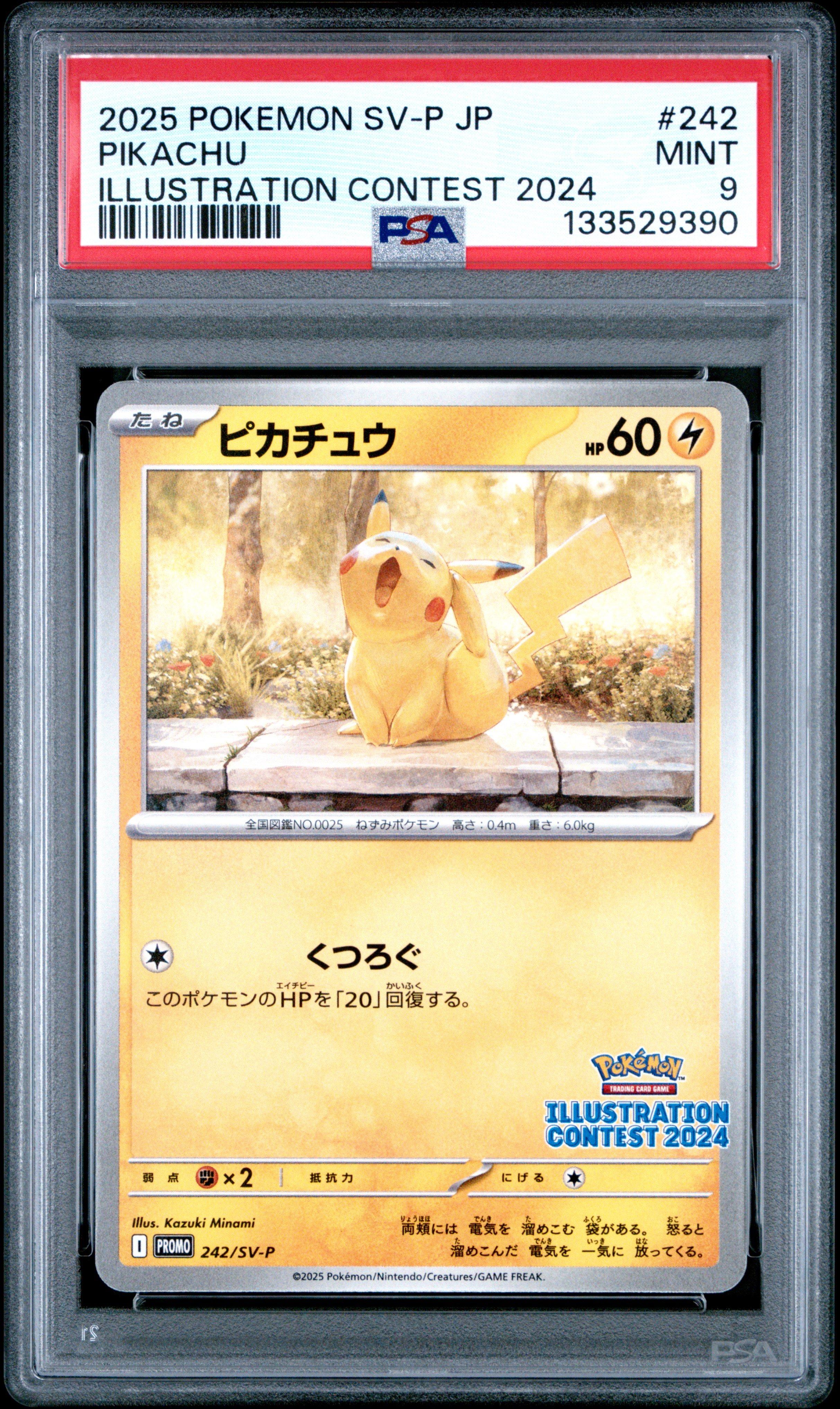 2025 Pokemon Japanese Sv-p Promo 242 Pikachu Illustration Contest