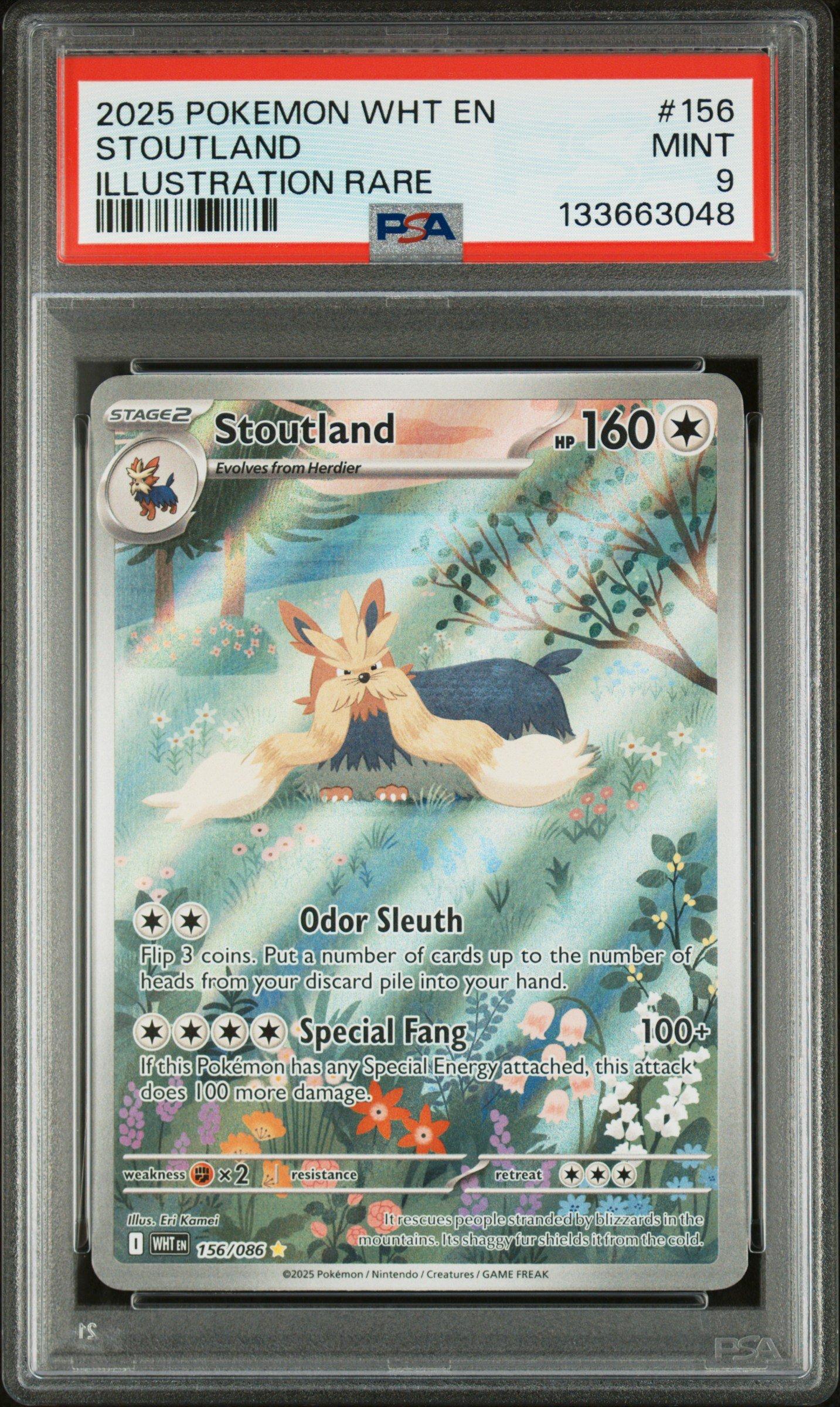 pokemon cards jumbo pack Pokemon Cards