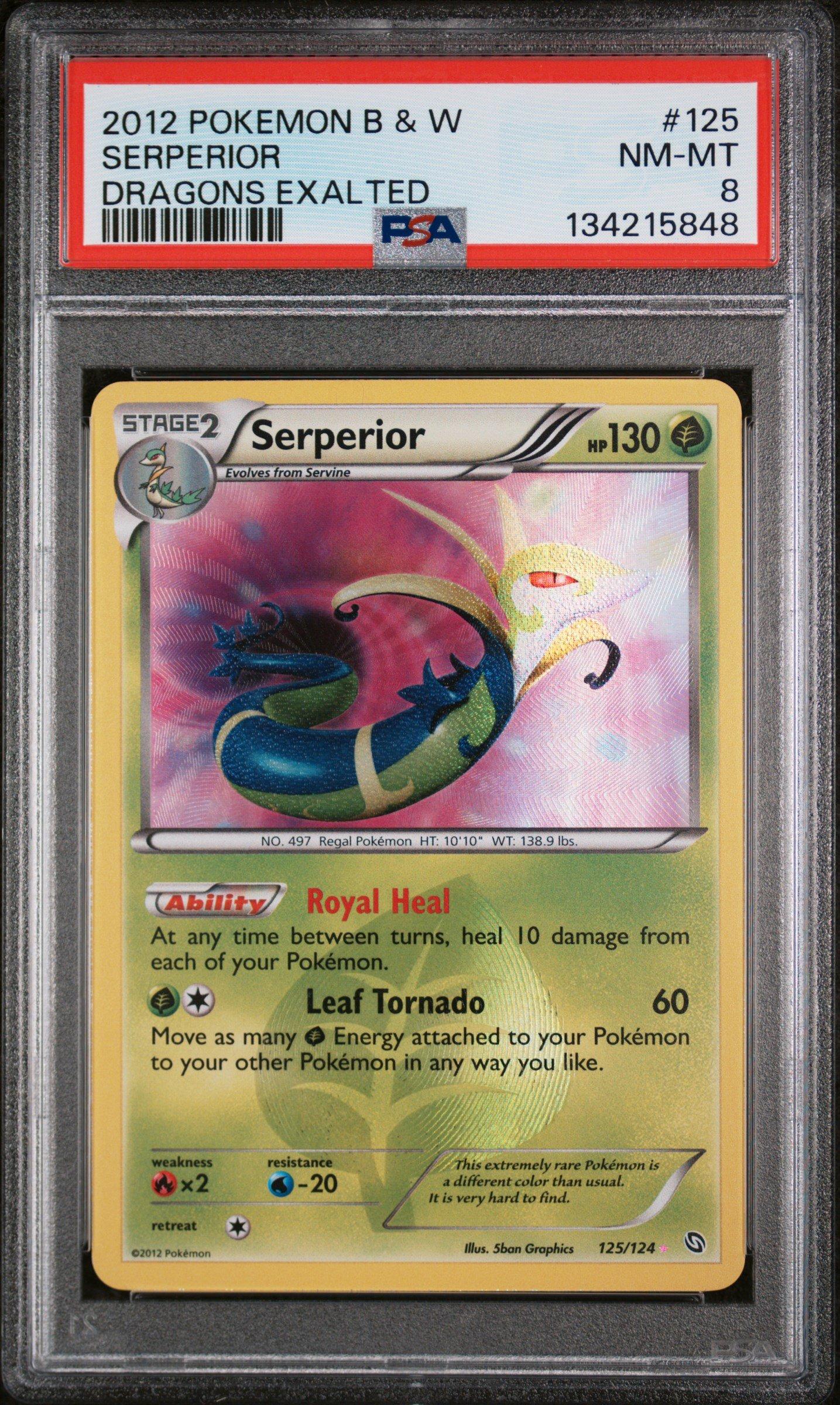 pokemon cards art rare The Top 10 best Pokemon Illustration Rares from Scarlet and Violet so far..