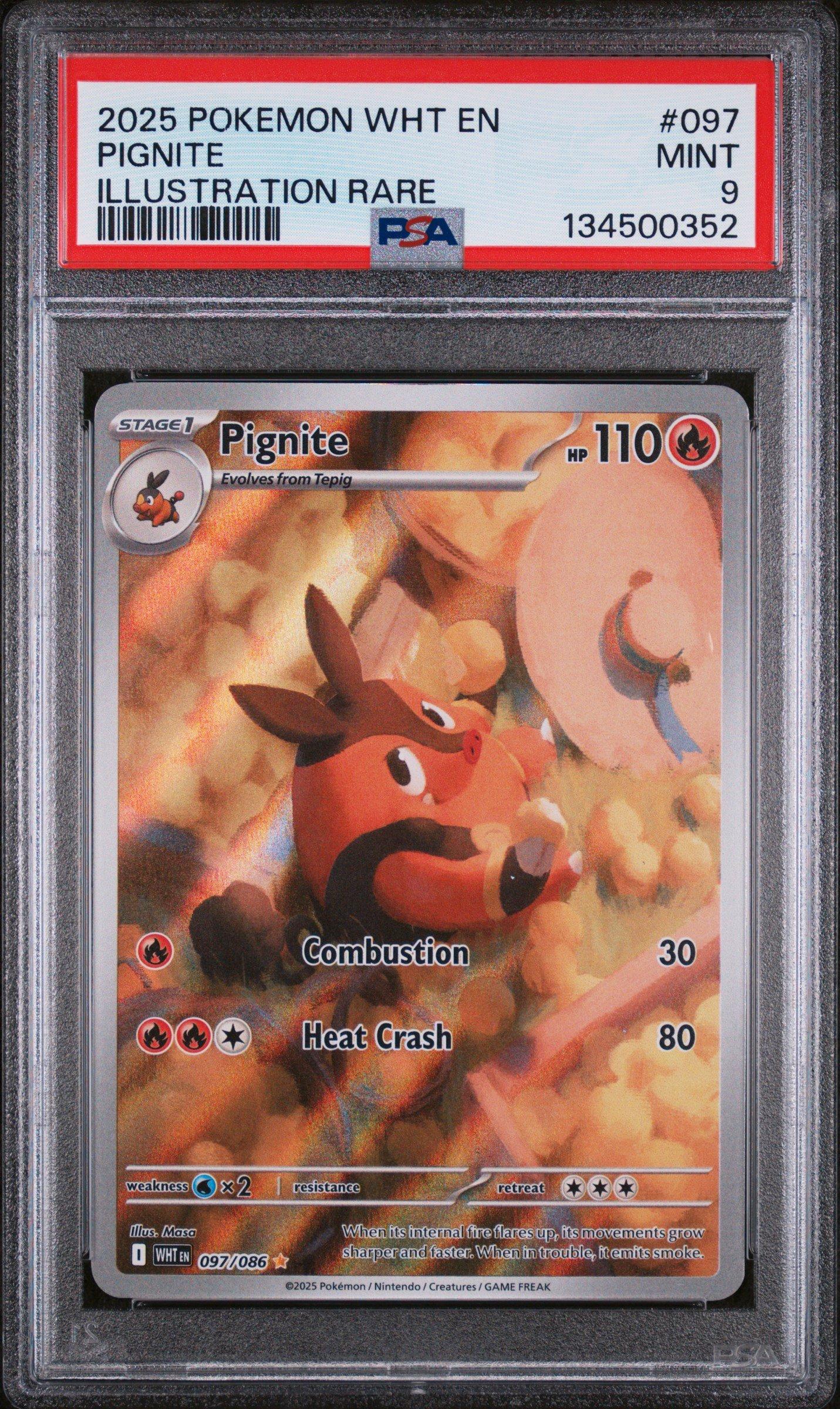 2025 Pokemon Wht En-white Flare 097 Pignite Illustration Rare PSA