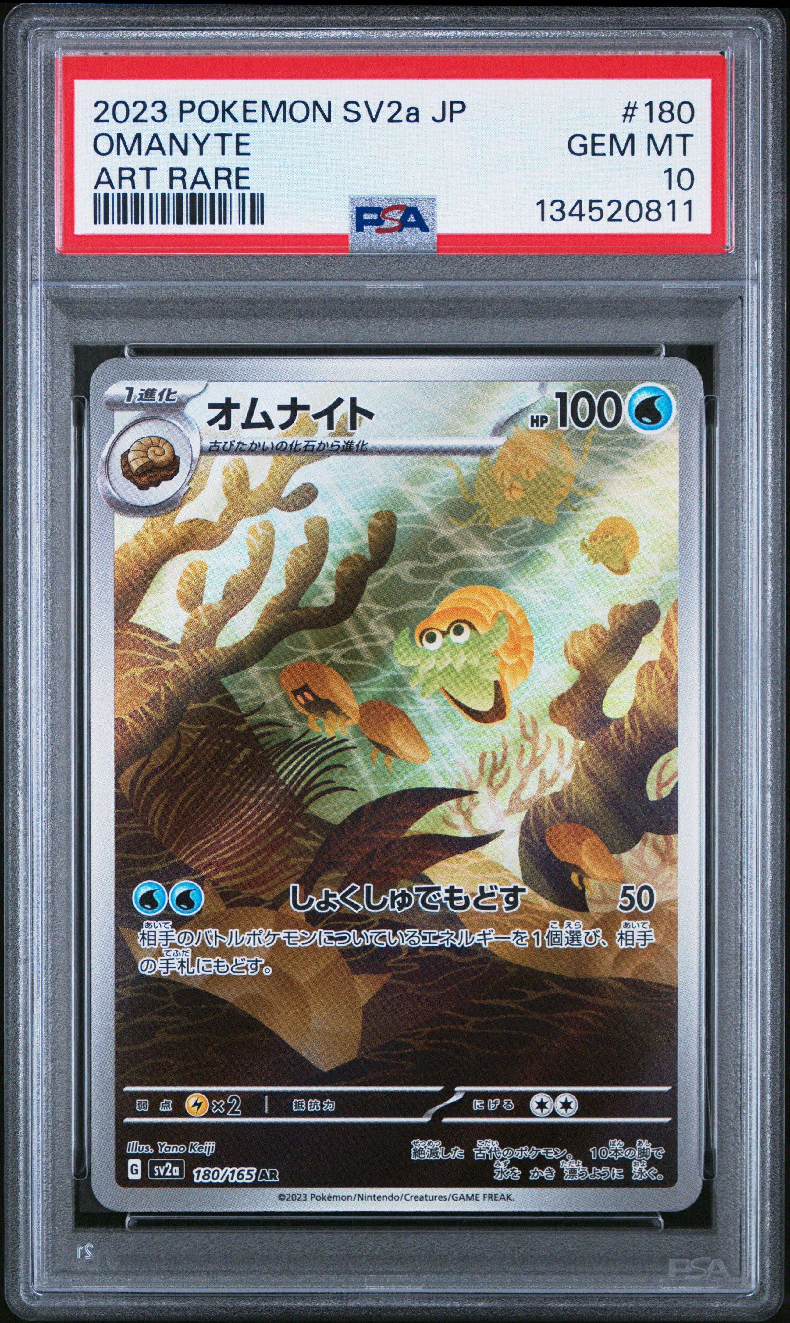 PSA10 ゼニガメ AR 151 PSA10 連番 ゼニガメ AR カメール AR 151｜Yahoo!フリマ（旧PayPayフリマ）