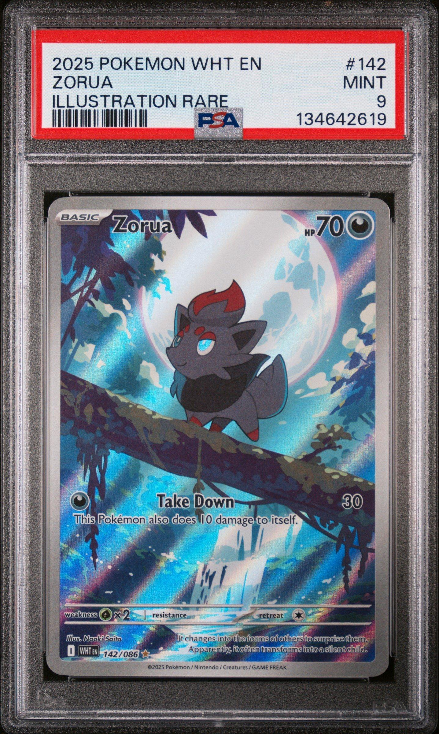 2025 Pokemon Wht En-white Flare 142 Zorua Illustration Rare PSA 9