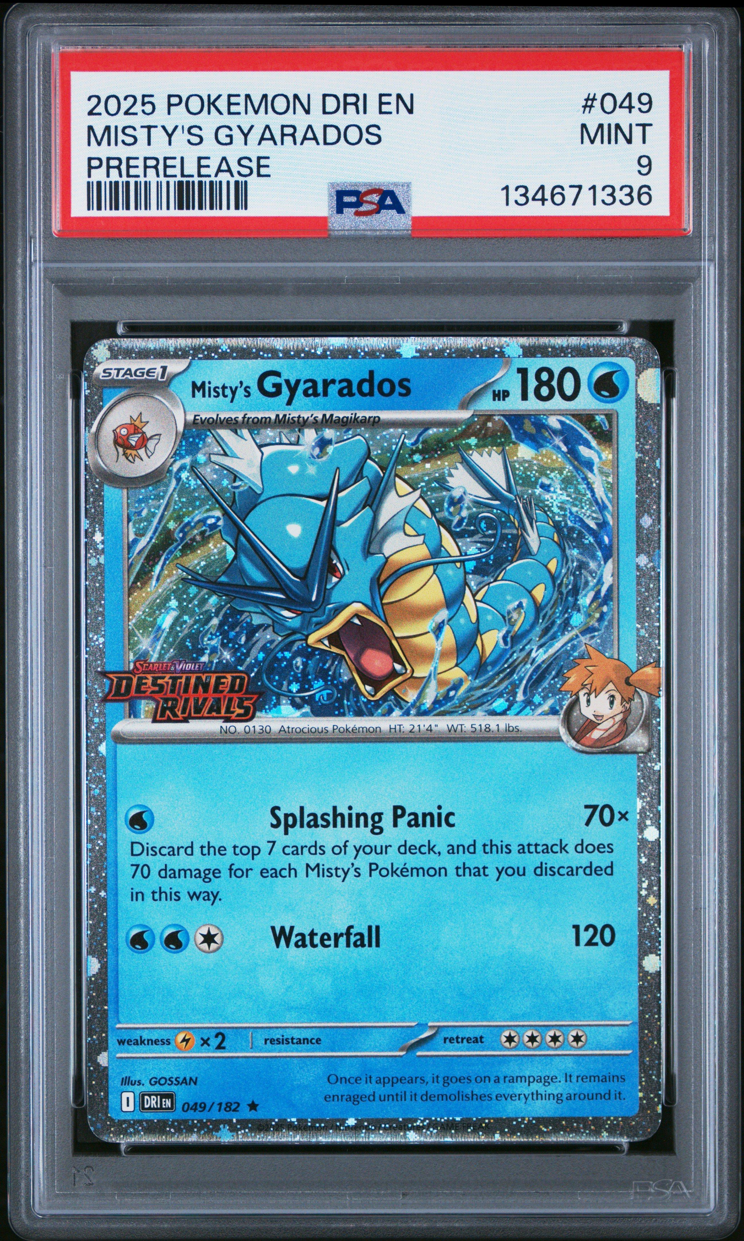 PSA鑑定品　ギャラドス　Gyarados　英語　シャドレス　psa5　匿名発送 2025 Pokemon Dri En-destined Rivals 049 Misty's Gyarados