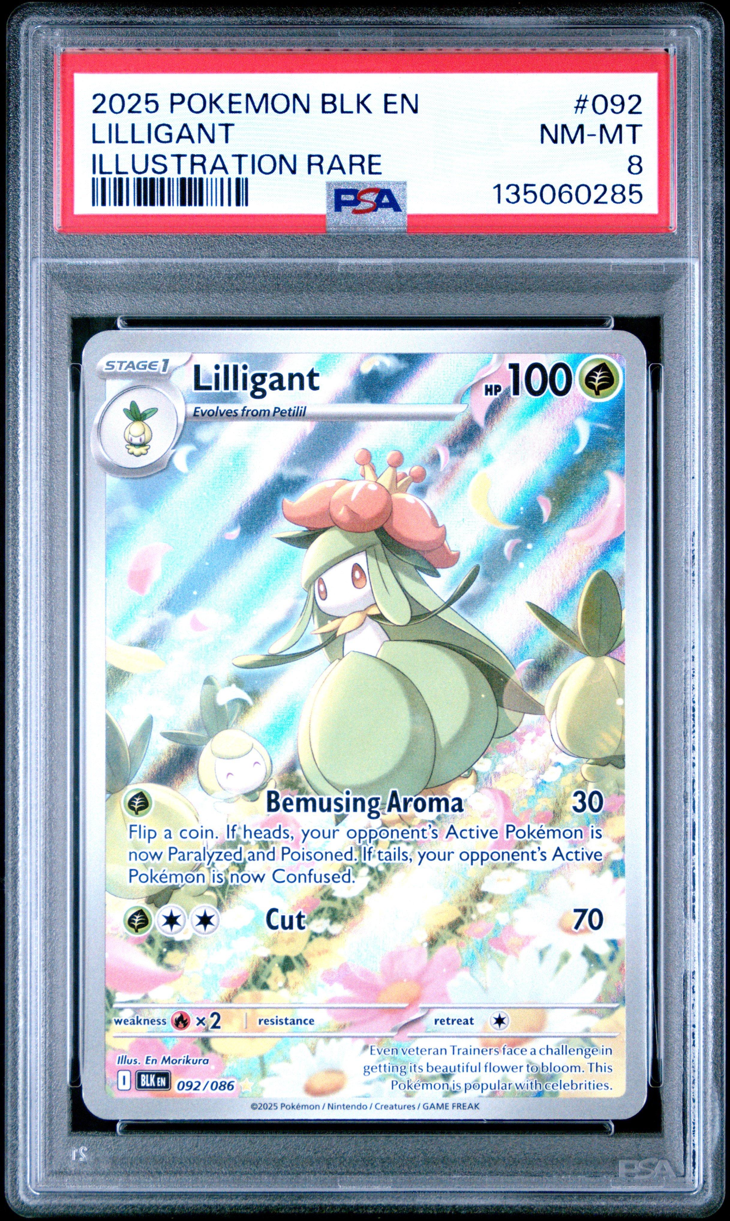 2025 Pokemon Blk En-black Bolt 092 Lilligant Illustration Rare PSA