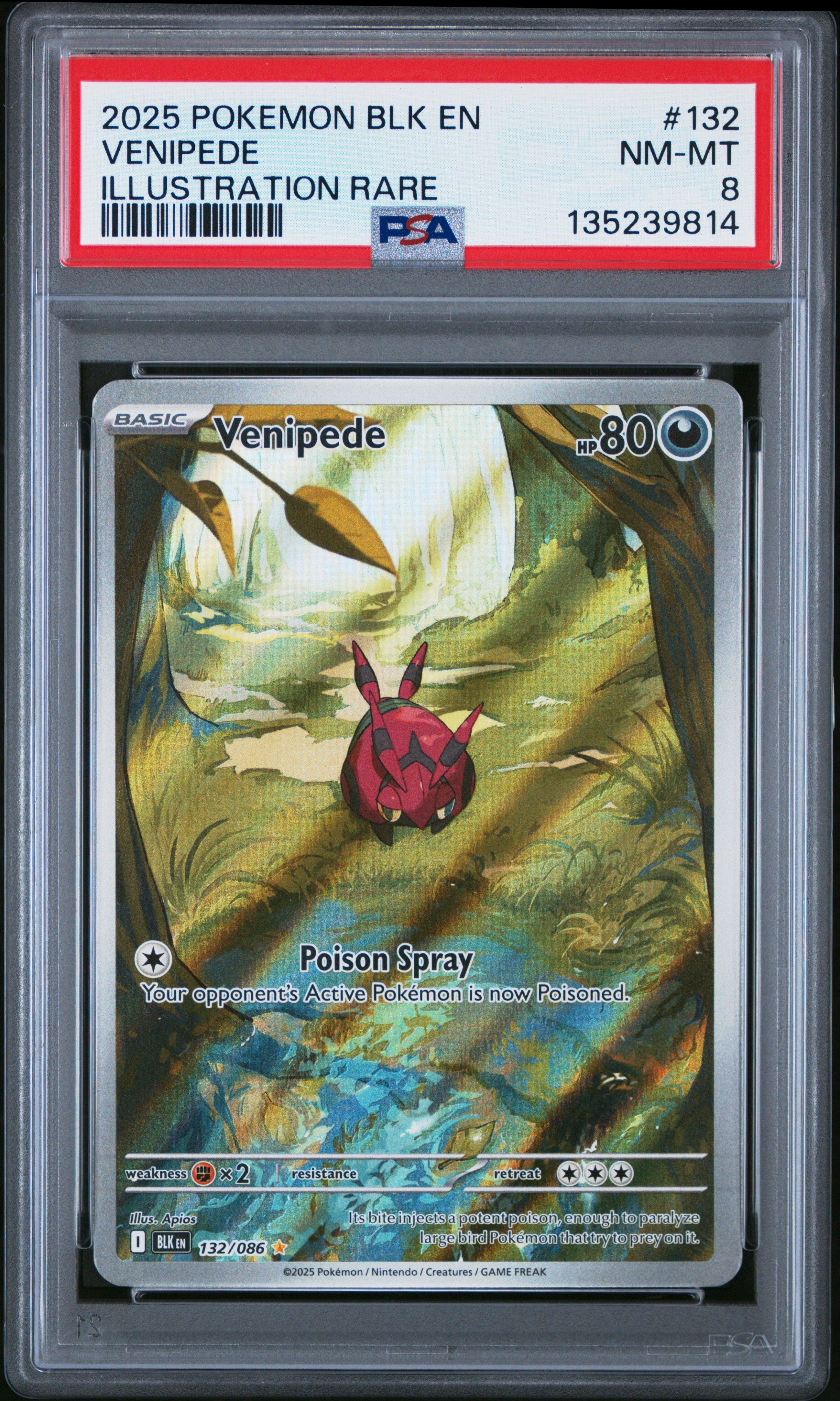 how many pokemon cards in a tin Pokmon TCG Unova Mini Tin Display Box (8 Tins)