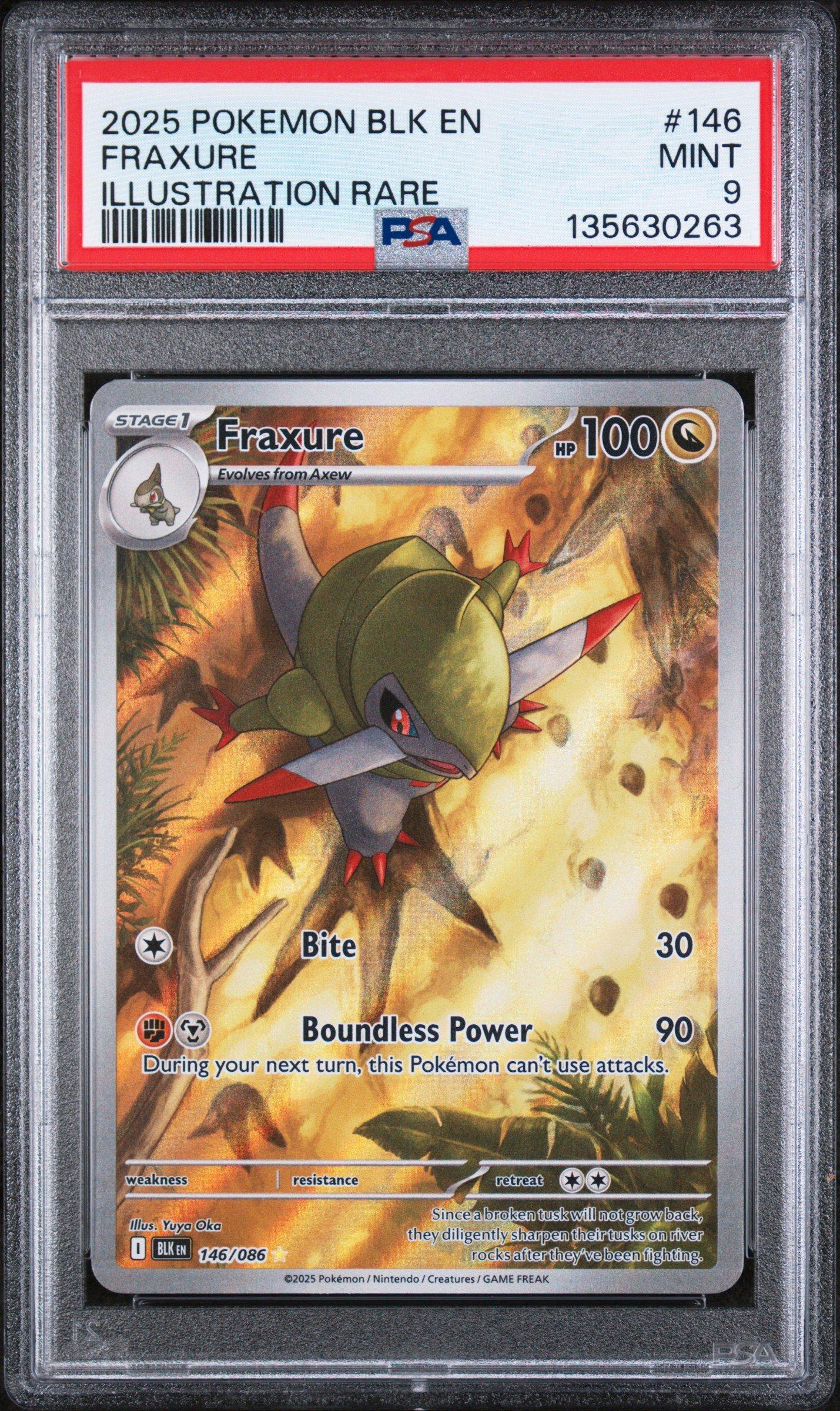 rare cards in shining fates Amazon.com: Shining Fates TCG Random Assortment Bundle
