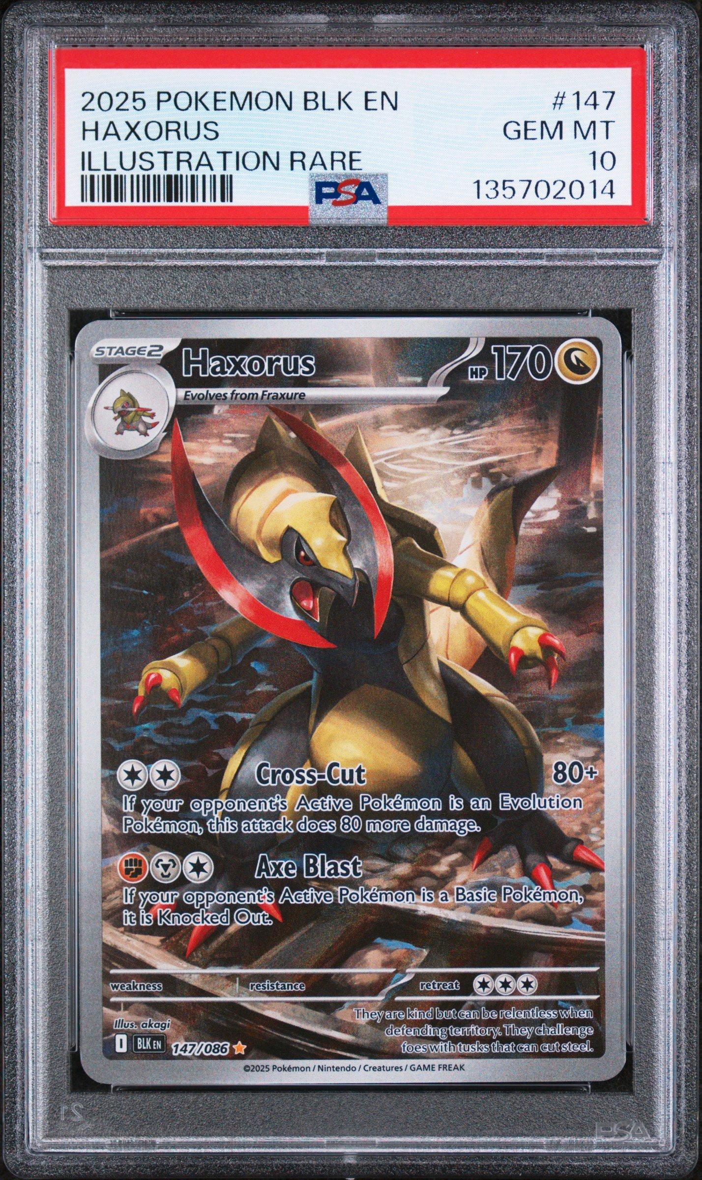 2025 Pokemon Blk En-black Bolt 147 Haxorus Illustration Rare PSA