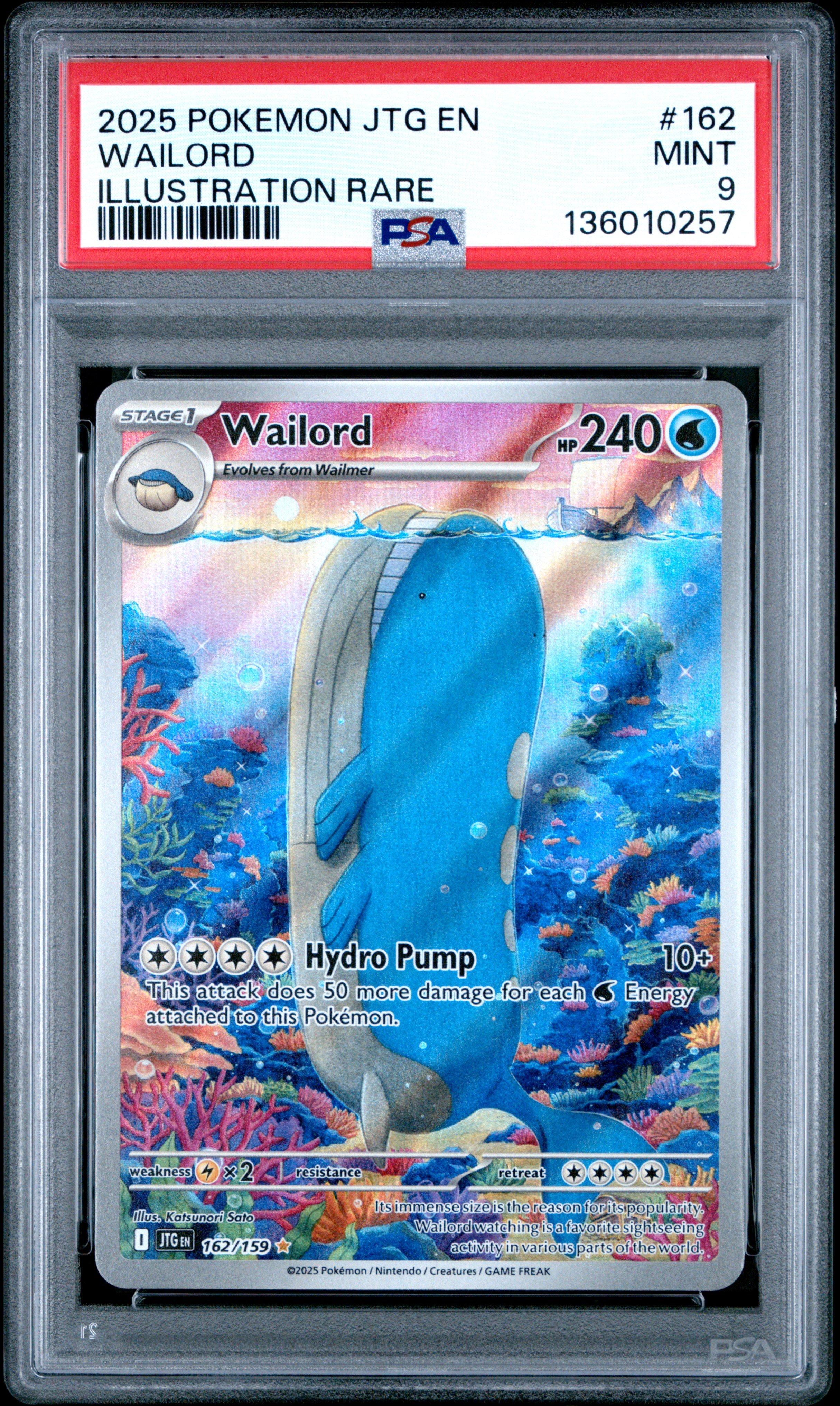 2025年 トキワシティ アートレア グレード10 2025 Pokemon Jtg En-journey Together 162 Wailord Illustration Rare
