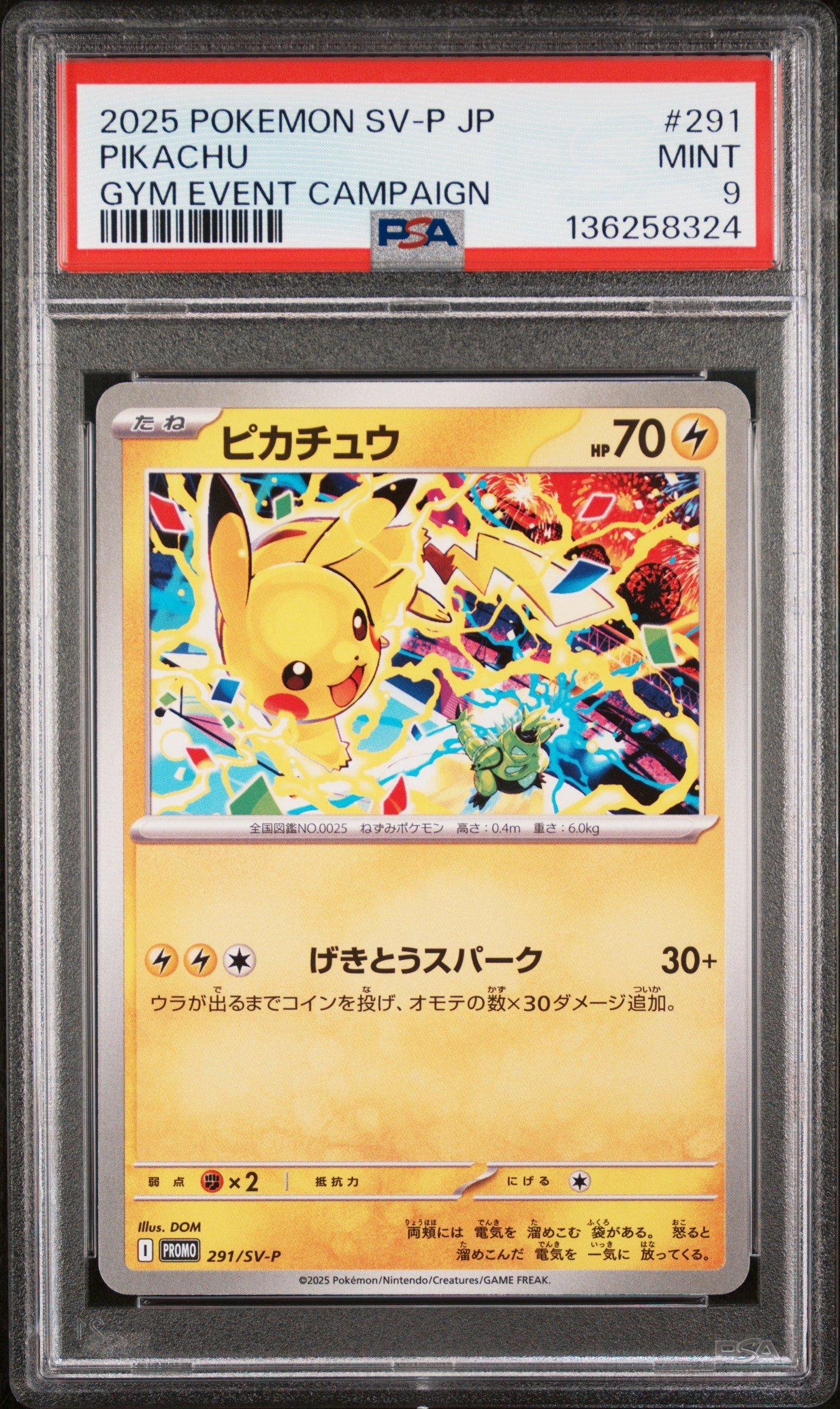 2025 Pokemon Japanese Sv-p Promo 291 Pikachu Gym Event Campaign