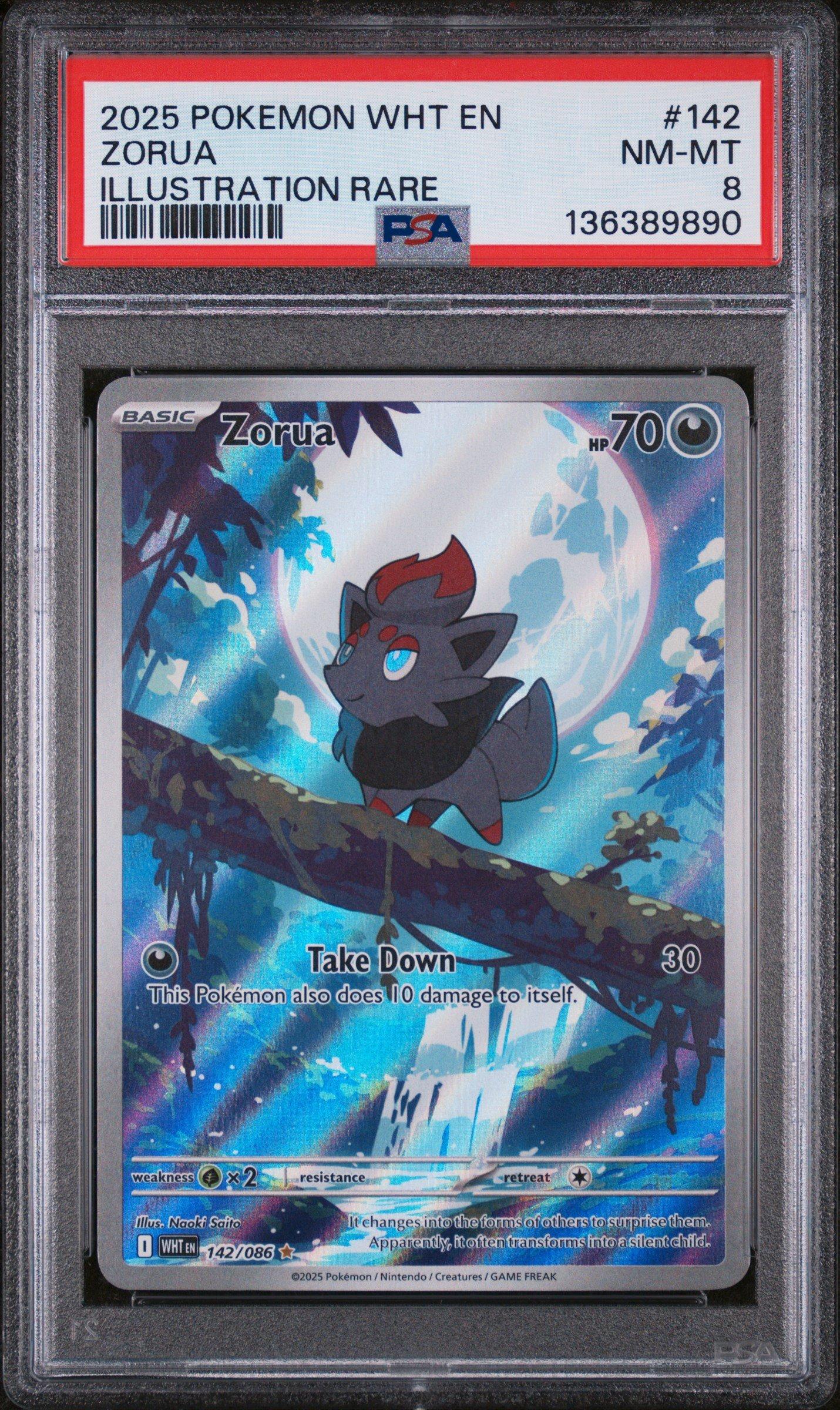 2025 Pokemon Wht En-white Flare 142 Zorua Illustration Rare PSA 8