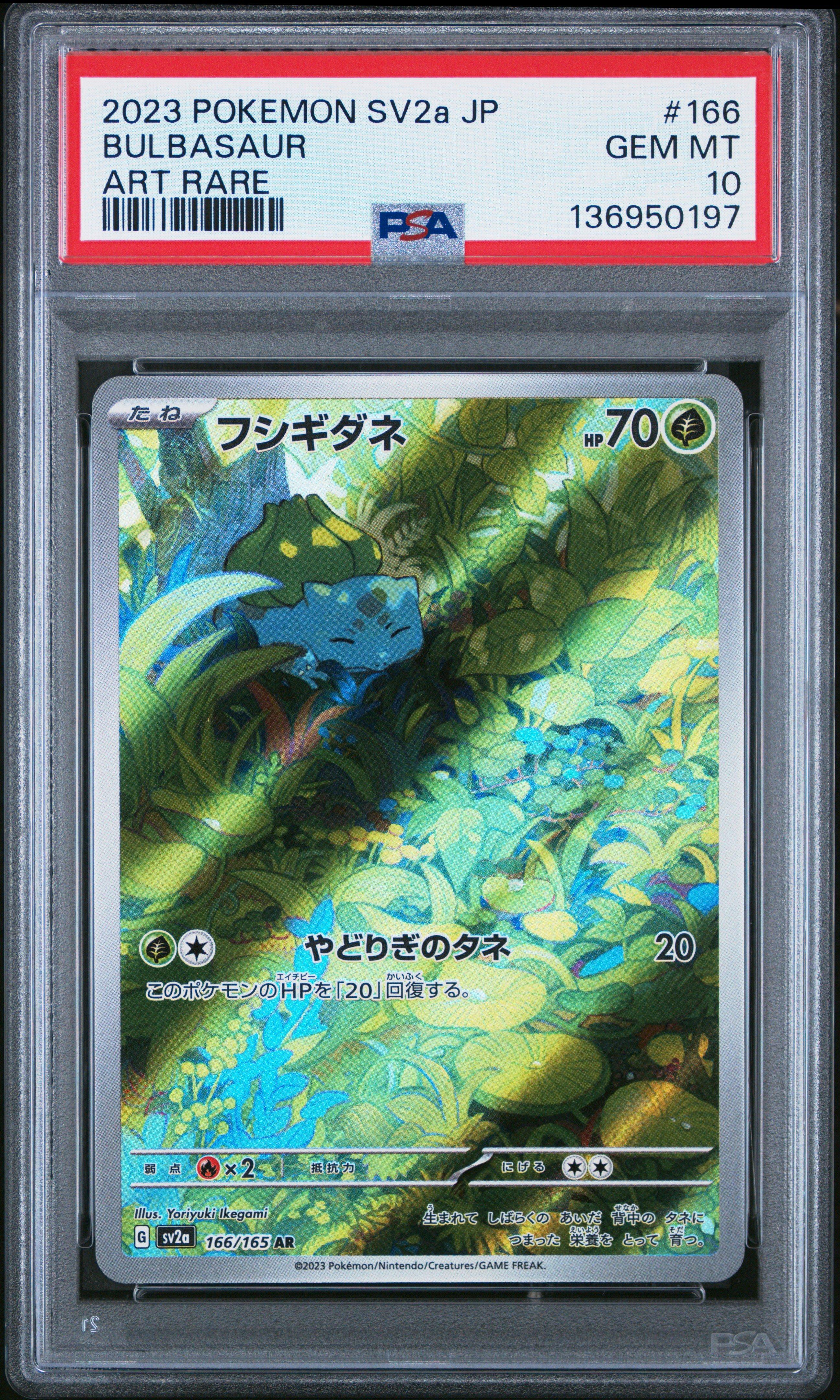 bulbasaur graded card 166/165 (Graded) Case you may remove 1 damage counter from Bulbasaur. 2023 Pokemon Japanese Sv2a-pokemon Card