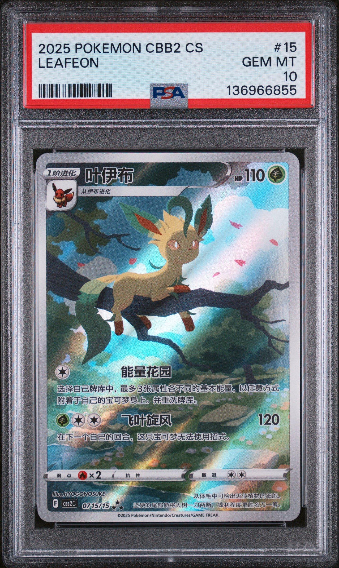pokemon grade 2 cards Flinduy Card Grading Tool, Sports Card Thickness Measuring Grading Kit, Centering Tool : Arts, Crafts & Sewing Montage TCG Pokemon Japanese Art