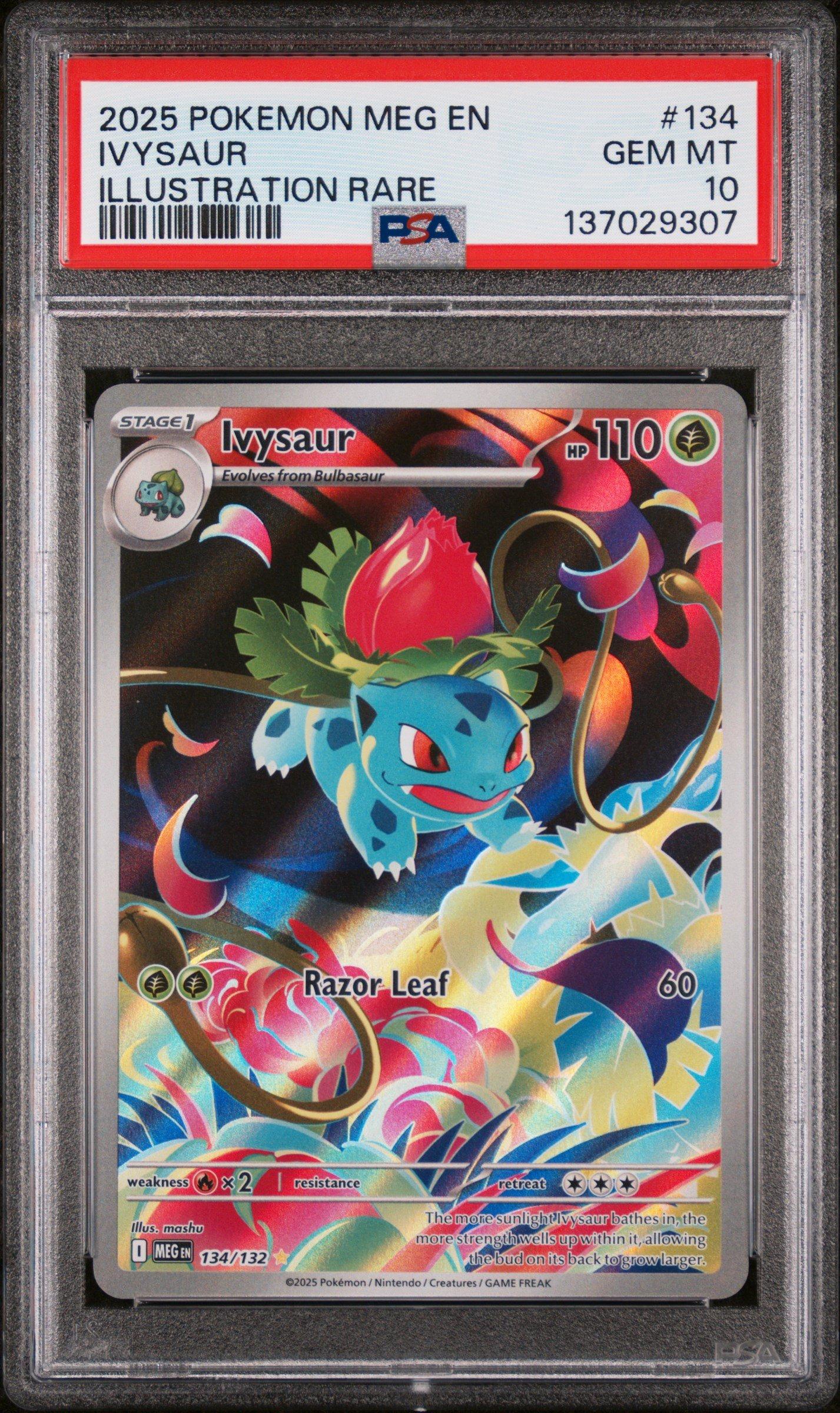 2025 Pokemon Meg En-mega Evolution 134 Ivysaur Illustration Rare