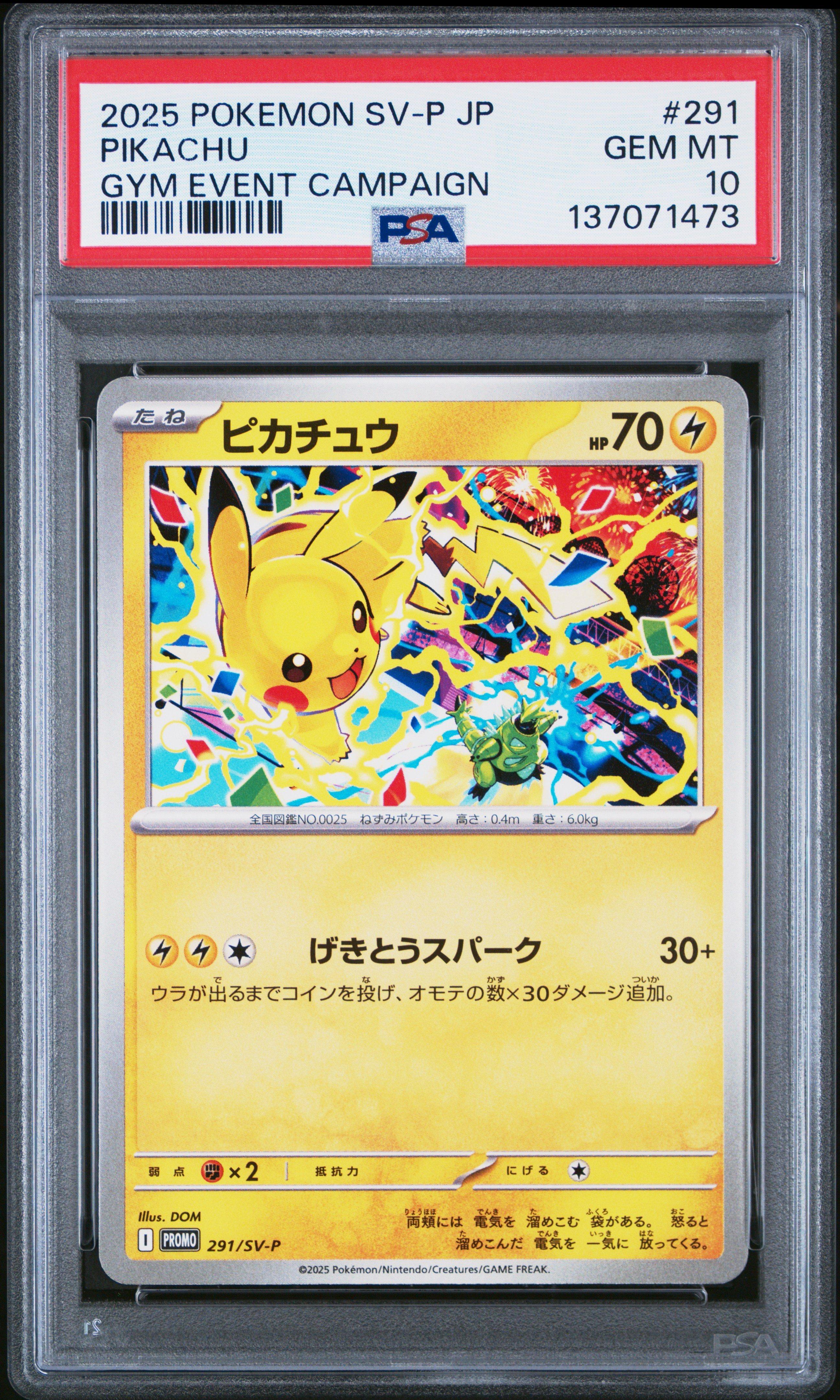 2025 Pokemon Japanese Sv-p Promo 291 Pikachu Gym Event Campaign