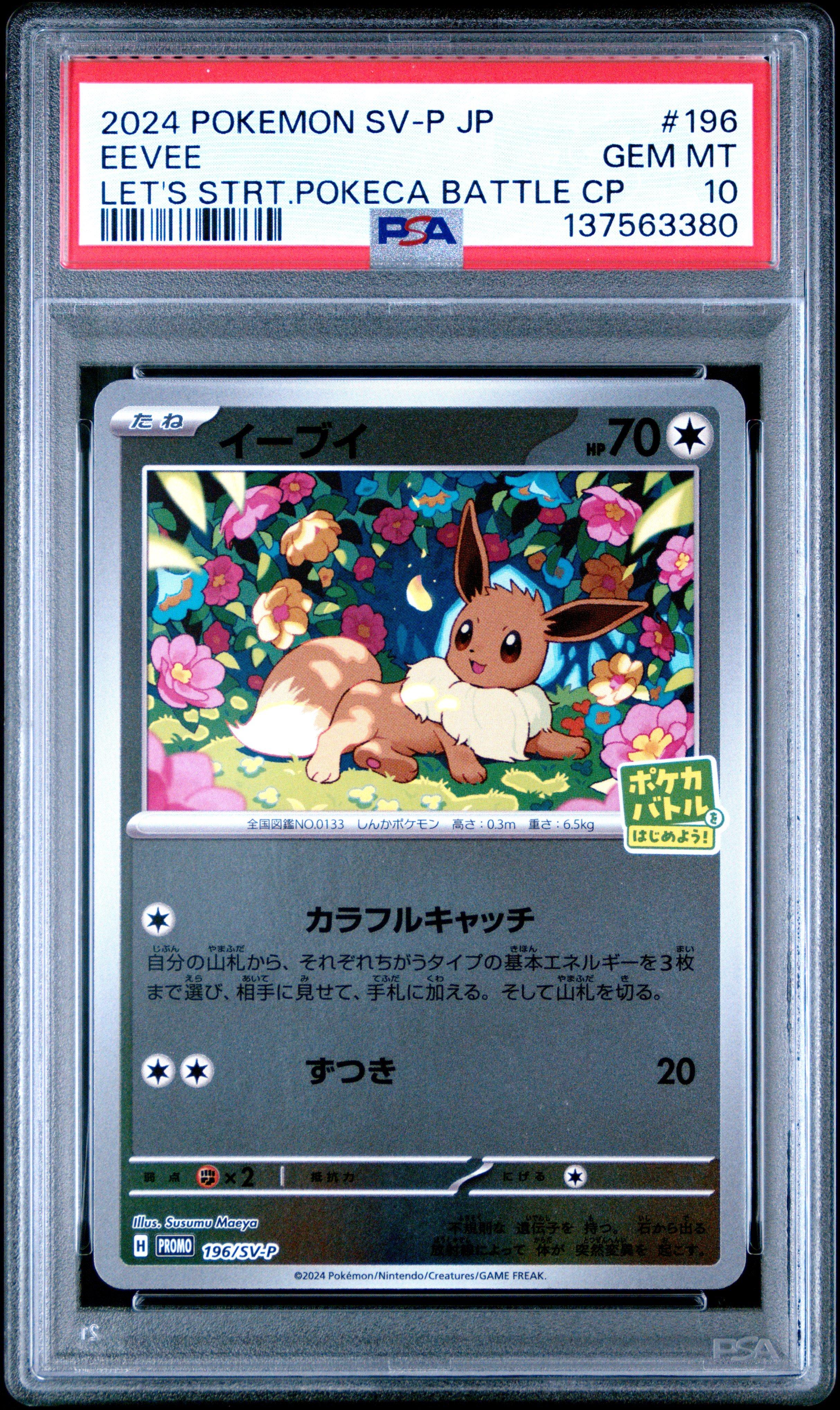 2024 Pokemon Japanese Sv-p Promo 196 Eevee Let's Start Pokeca