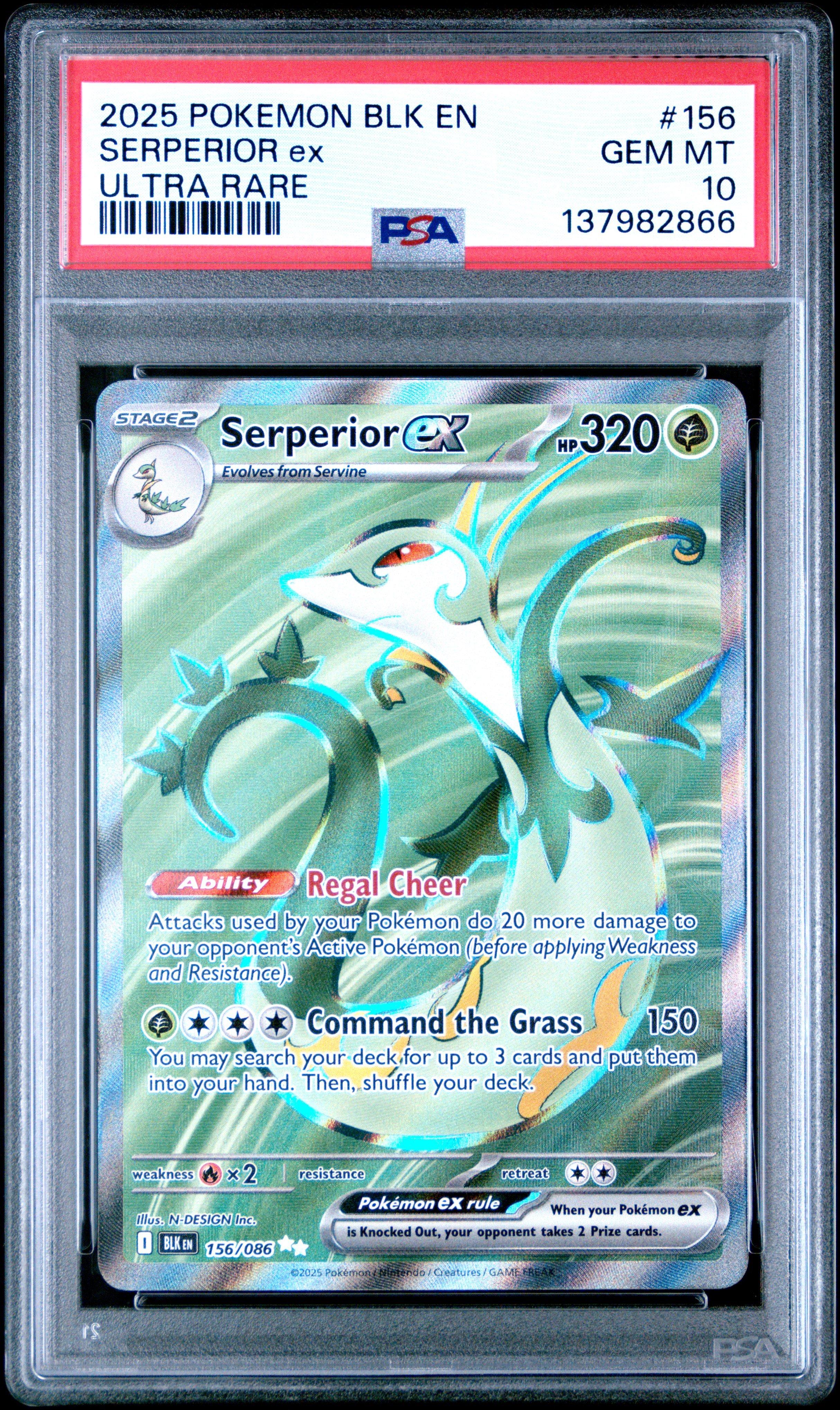 secret rare pokemon cards ex 2025 Blk En-black Bolt 156 Serperior Ultra PSA 10 Graded Card Located in M This Weird Box Had OVER