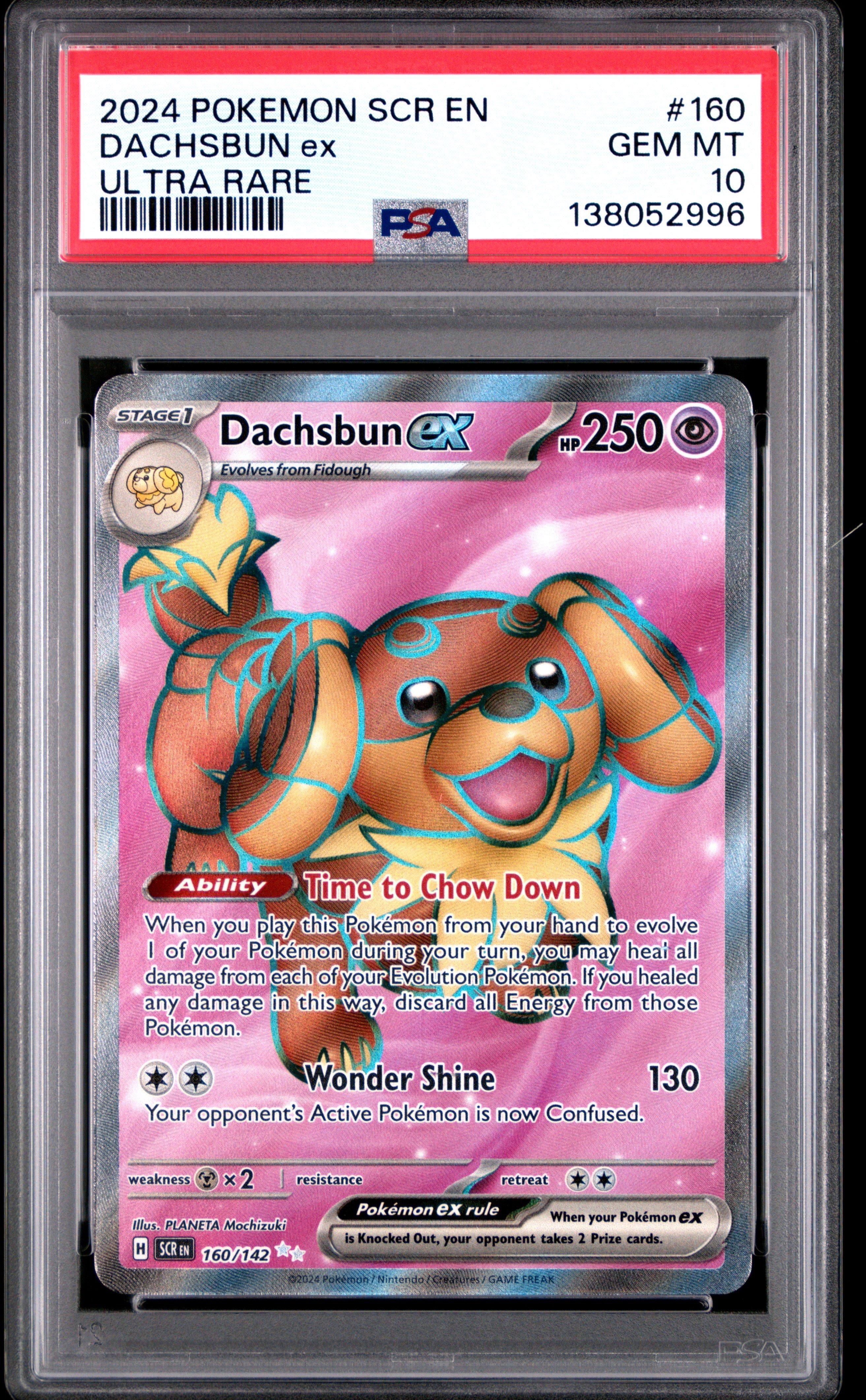 dachsbun pokemon card Dachsbun ex - 169/142 169
