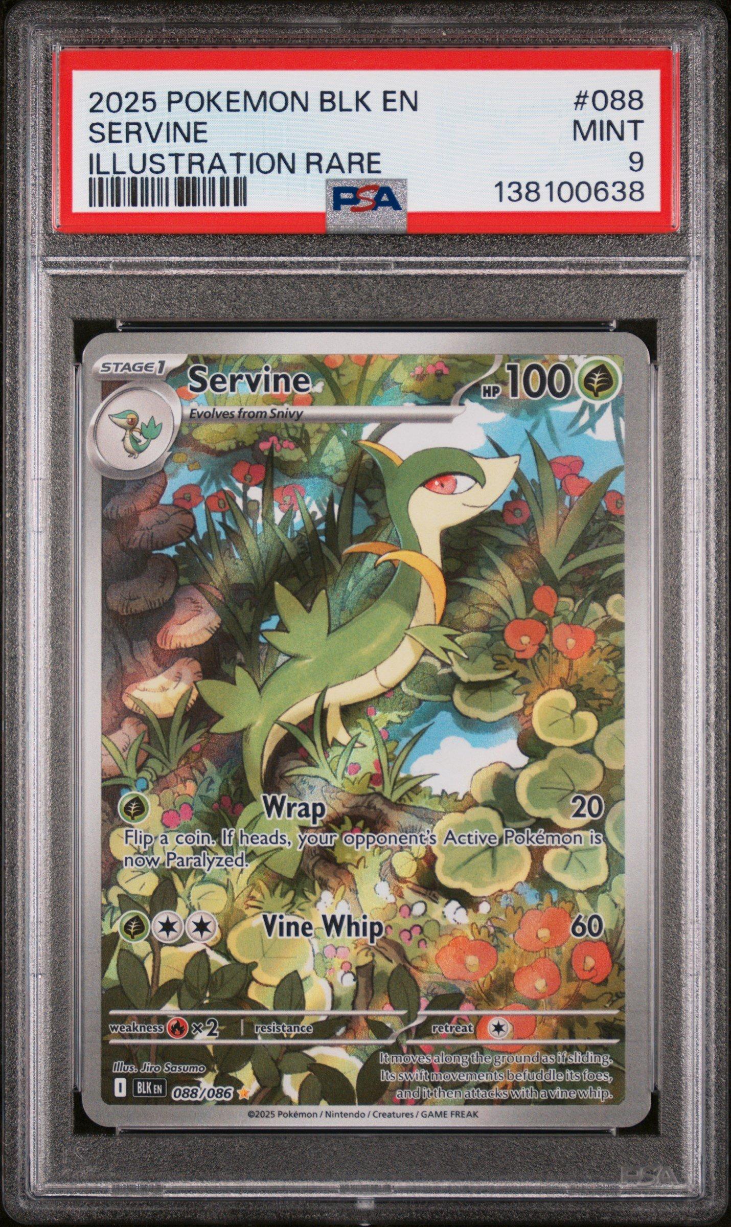 【PSA9】ライボルト 2025 Pokemon Blk En-black Bolt 088 Servine Illustration Rare PSA 9