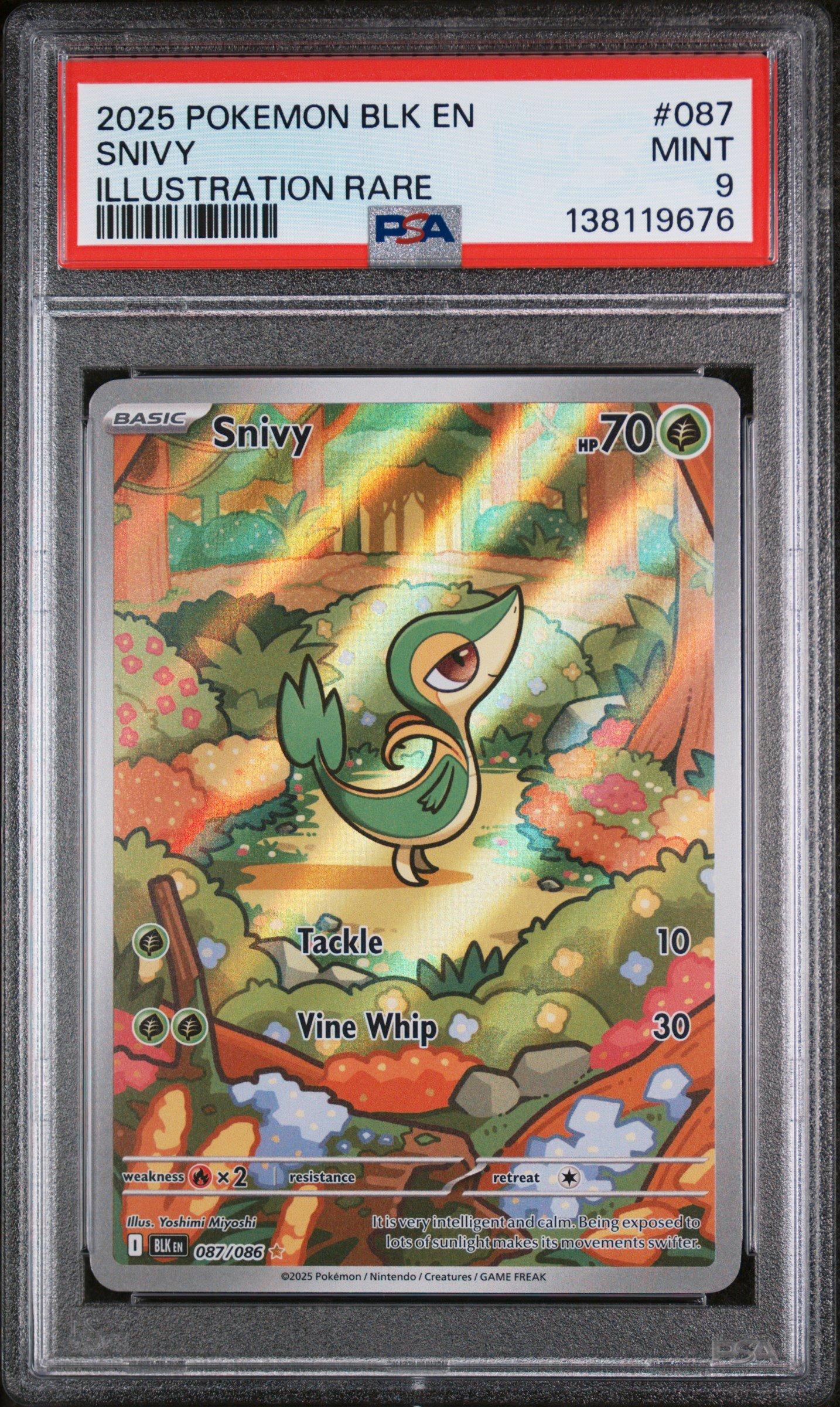 ポケモンカードゲーム 2025 POKEMON SV11B SNIVY ART RARE PSA 10 2025 Pokemon Blk En-black Bolt 087 Snivy Illustration Rare PSA 9