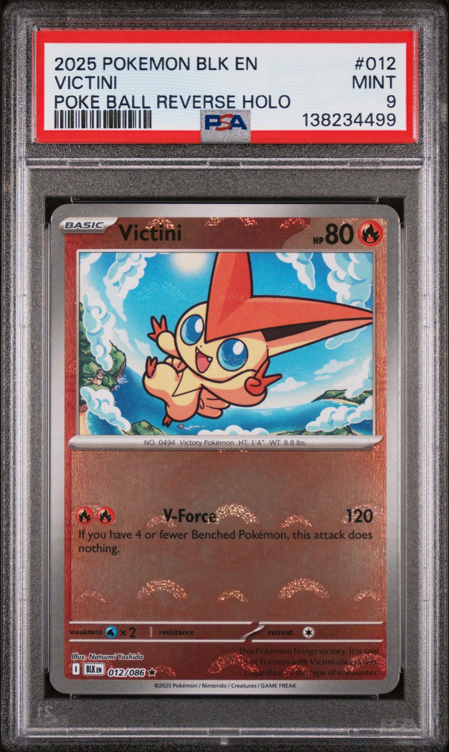 mew pokemon card shiny SV4a] Mew ex 327/190〈SSR〉 – Buy Online at Omotenashi TCG