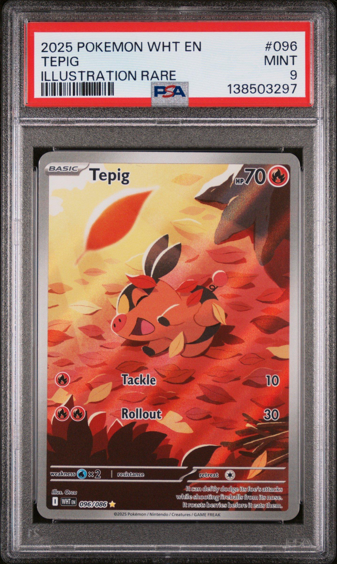 pokemon card tepig White Flare Illustration Rare #096 PSA 9 70 Stage pokemon:tepig - Card Search 