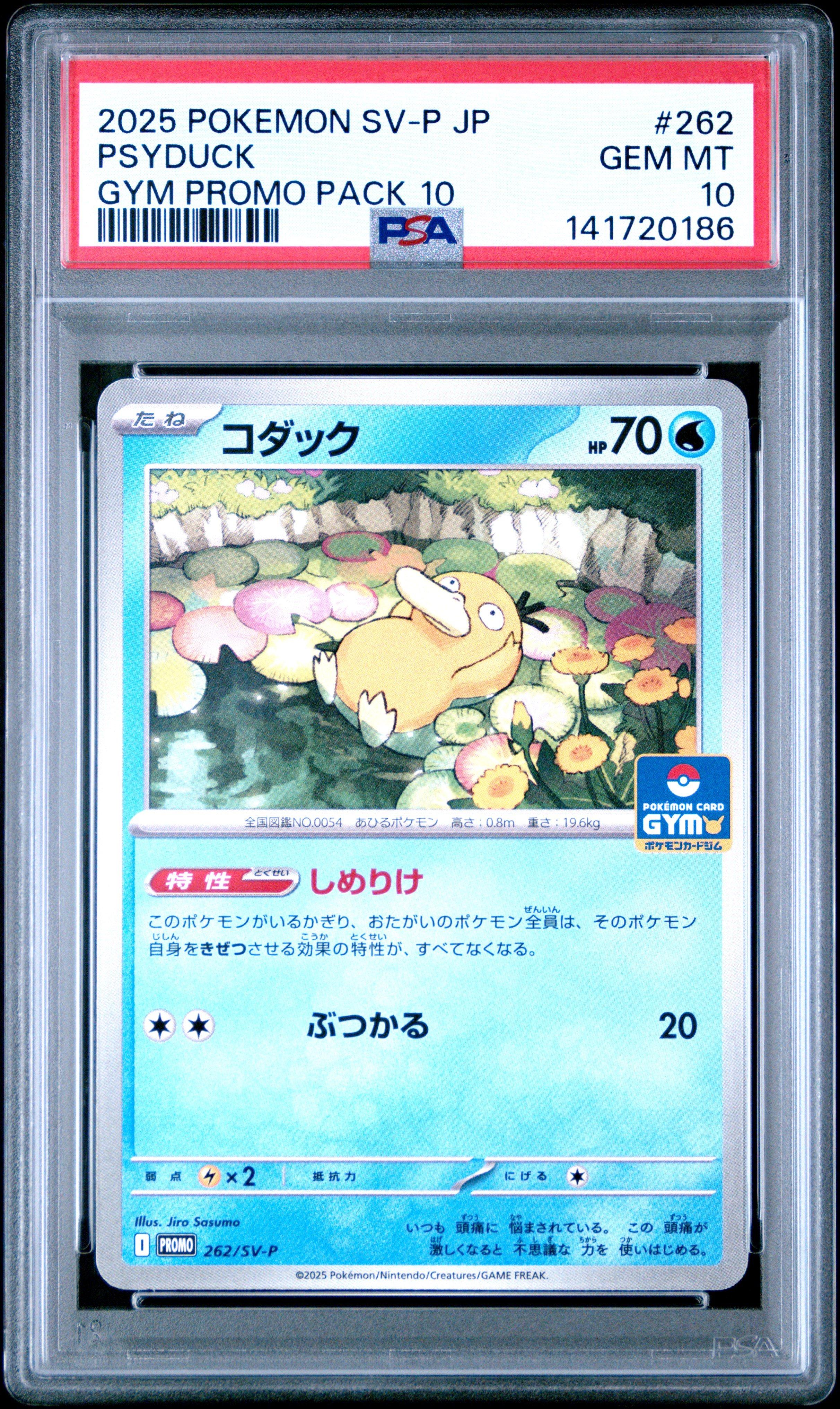 ポケカ　PSAセット 2025 Pokemon Japanese Sv-p Promo 262 Psyduck Gym Promo Pack 10 PSA